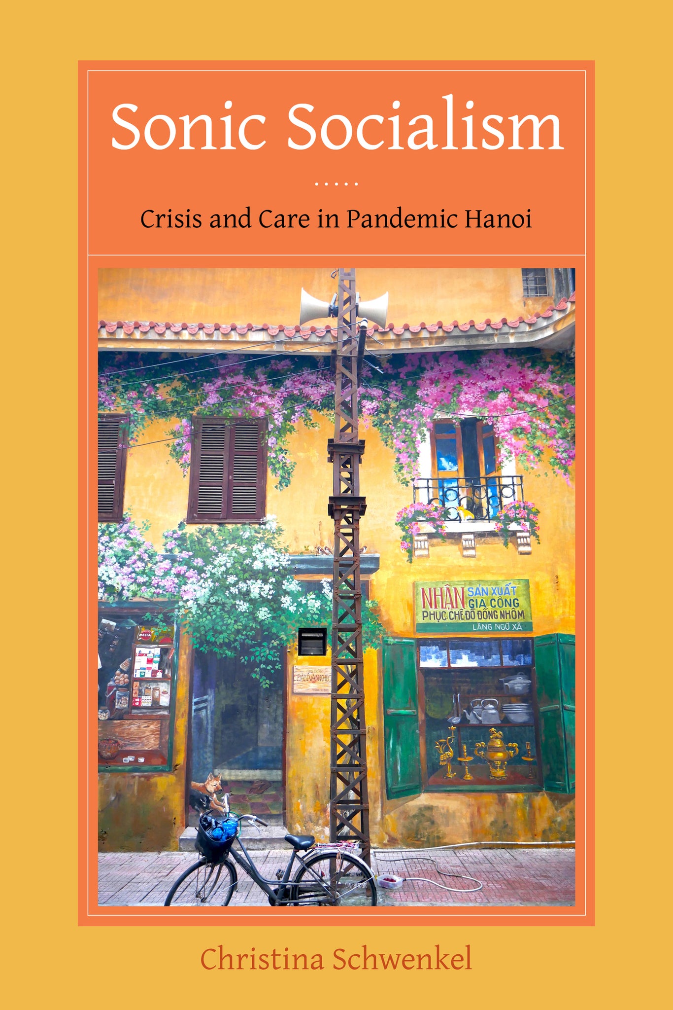 Sonic Socialism