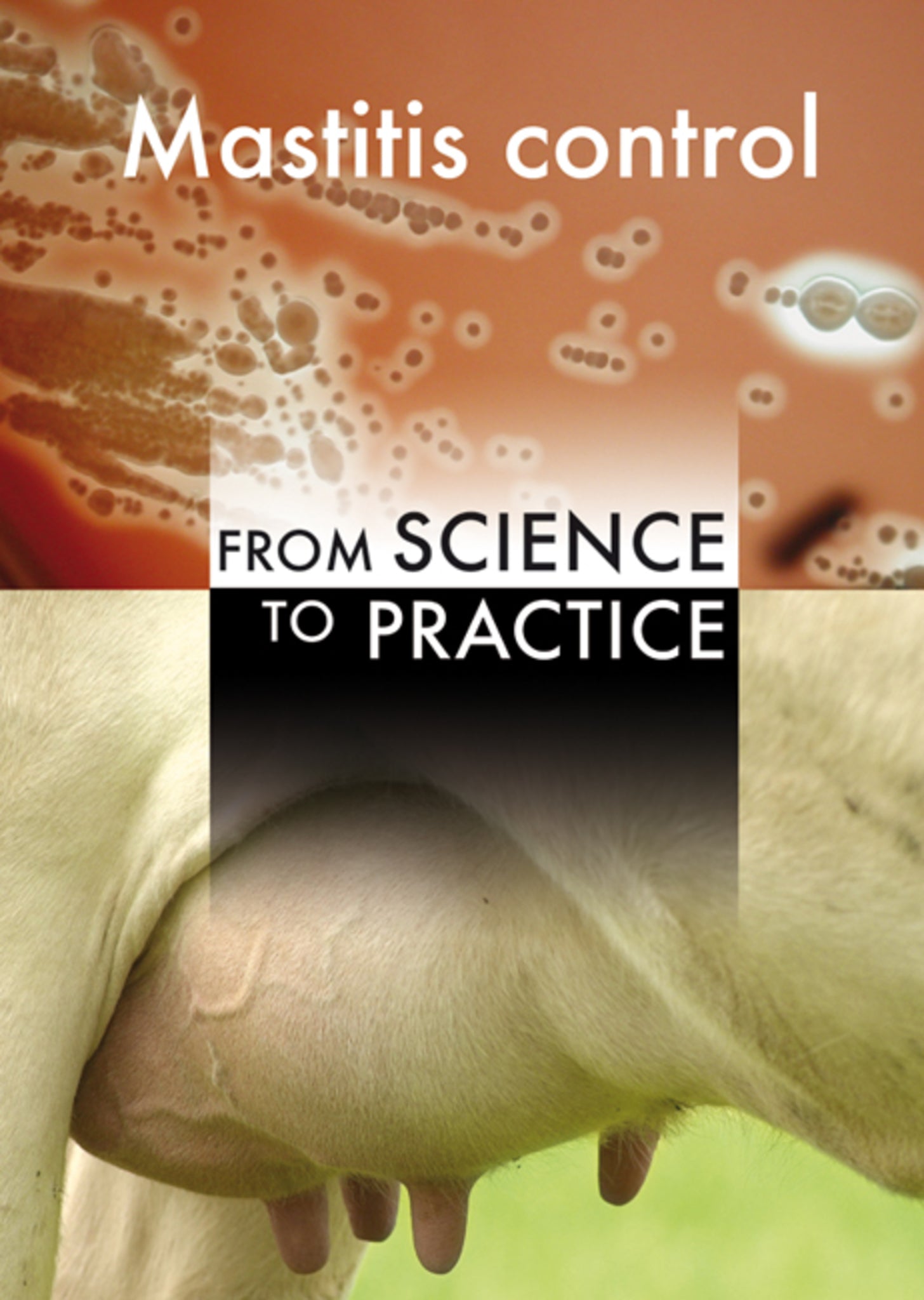 Mastitis control