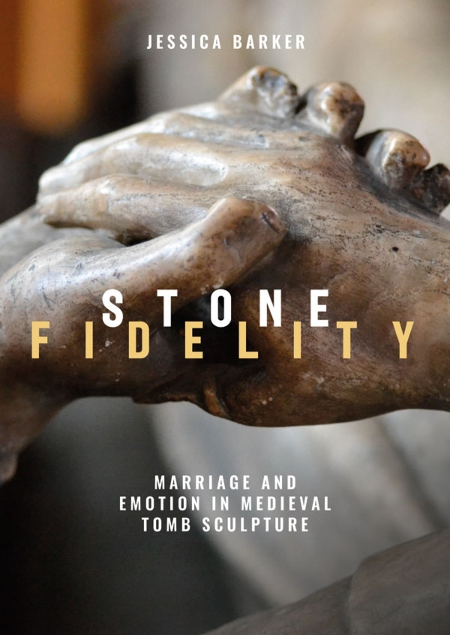 Cover image for Stone Fidelity ISBN 9781783272716