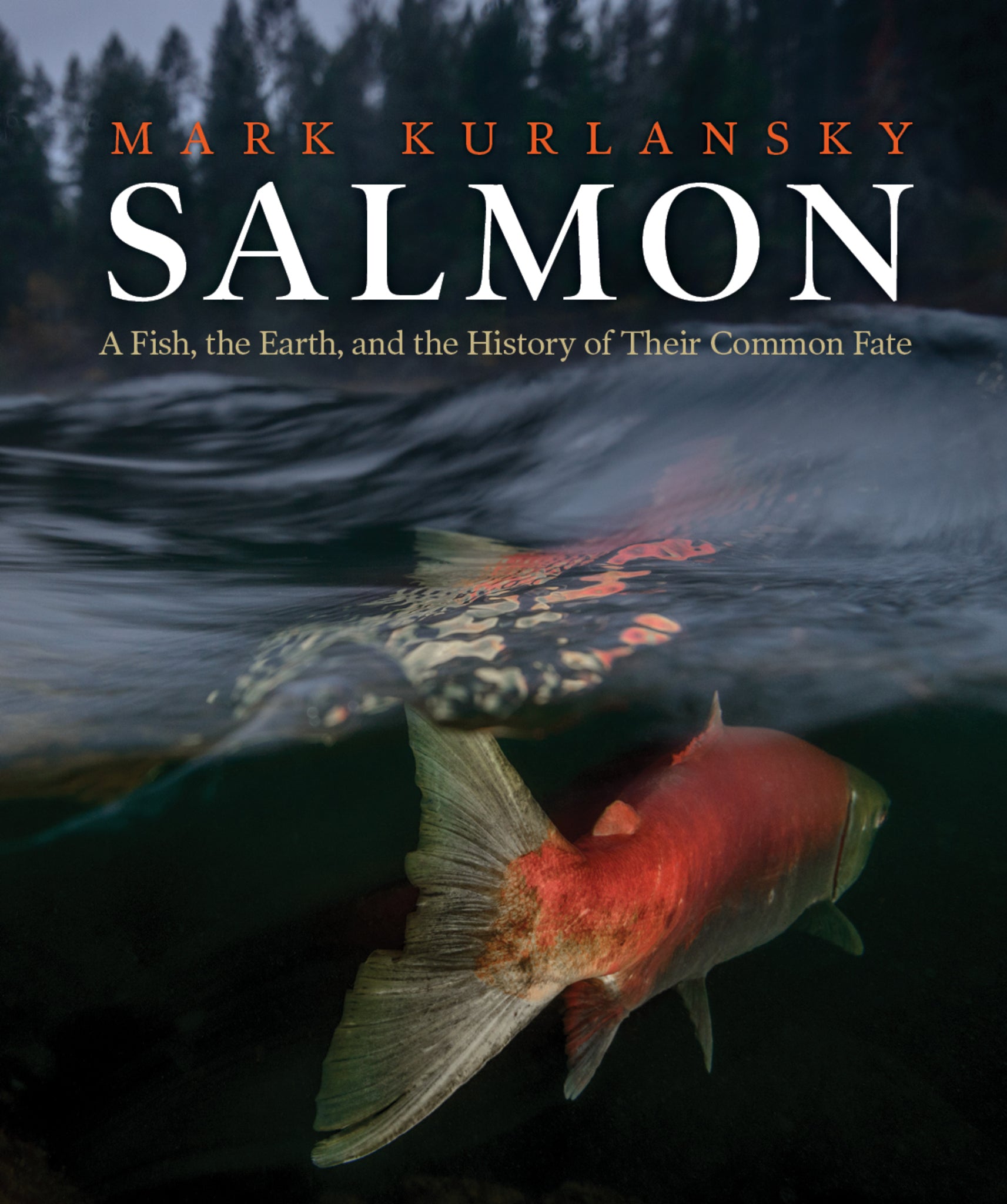 Cover image for Salmon ISBN