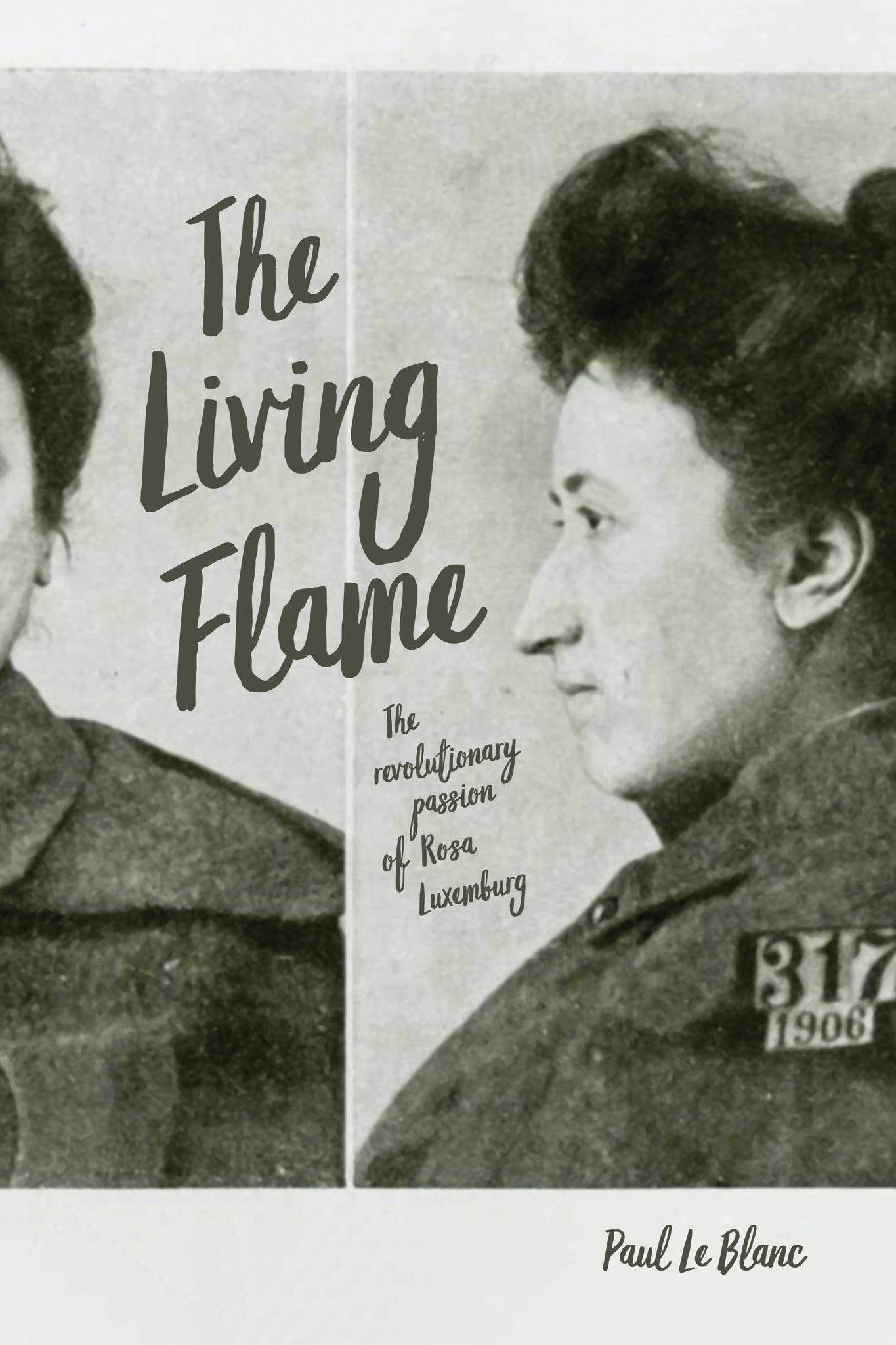 Cover image for The Living Flame ISBN 9781642591828