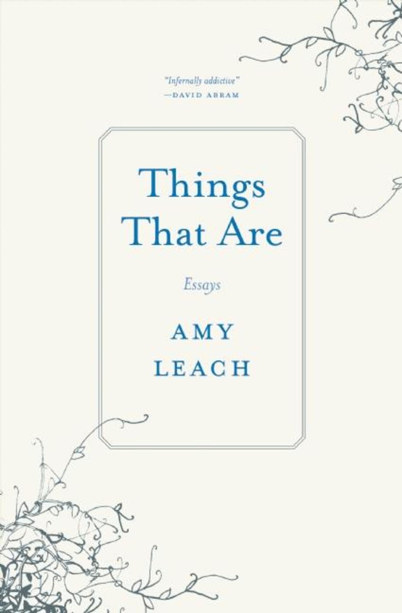 Cover image for Things That Are ISBN 9781571313515