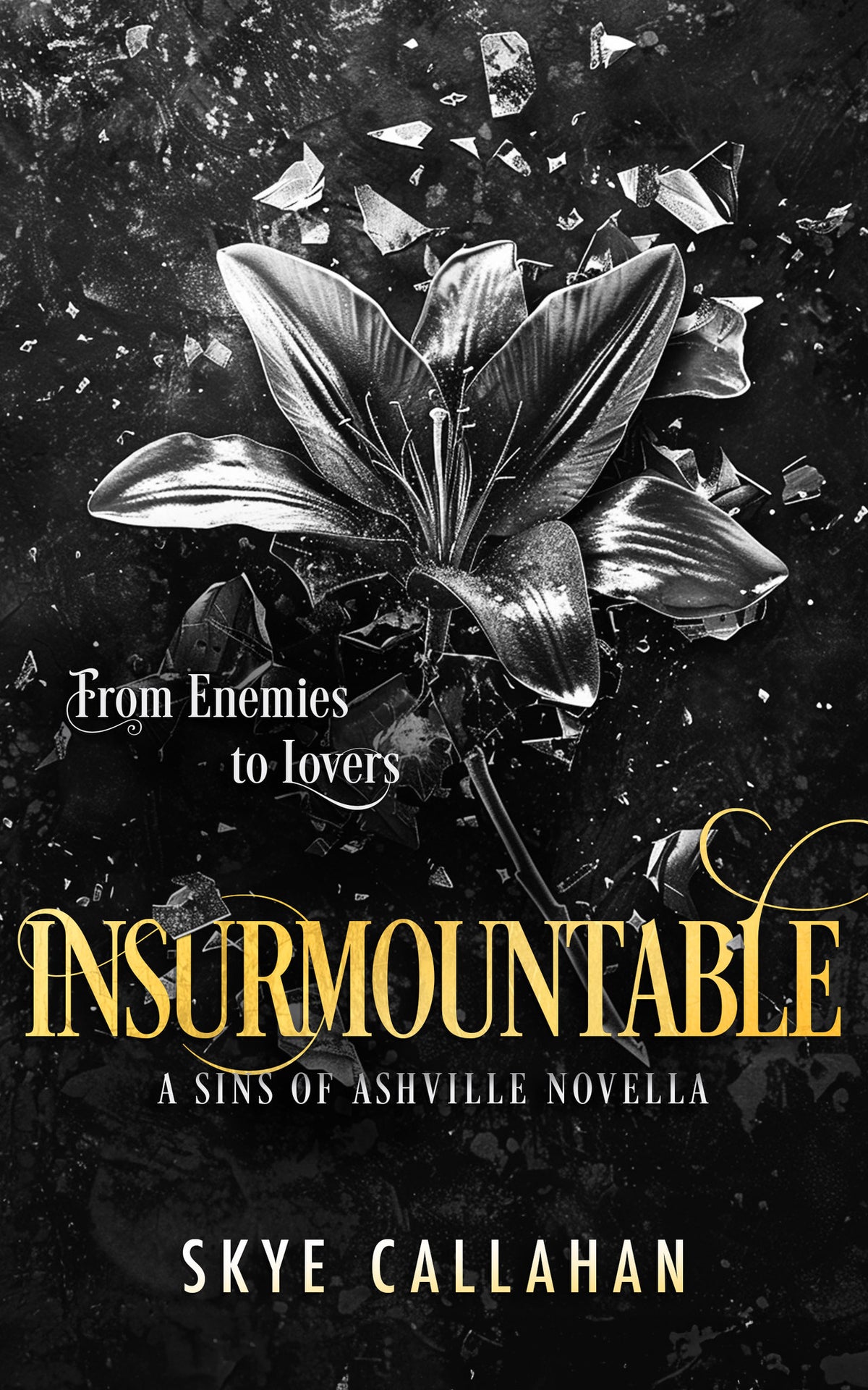 Cover image for Insurmountable ISBN 9781036701819