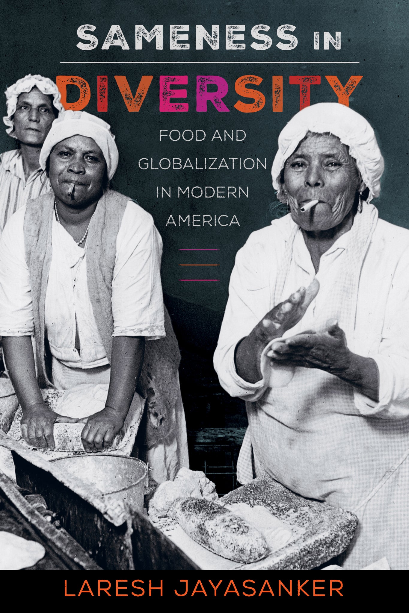 Cover image for Sameness in Diversity ISBN 9780520343962