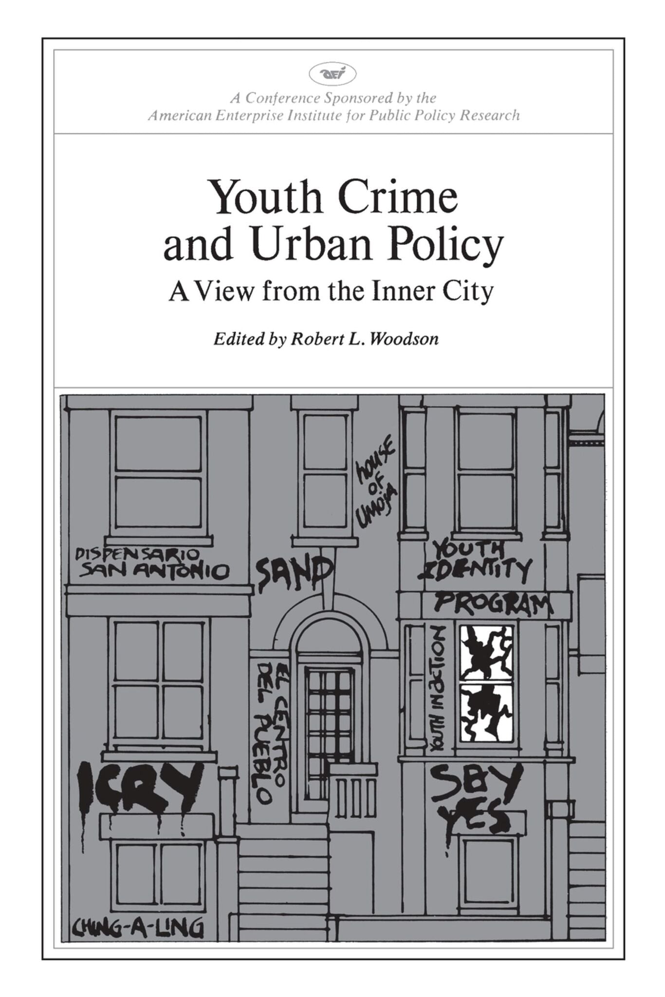 Youth Crime and Urban Policy: A View from the Inner City