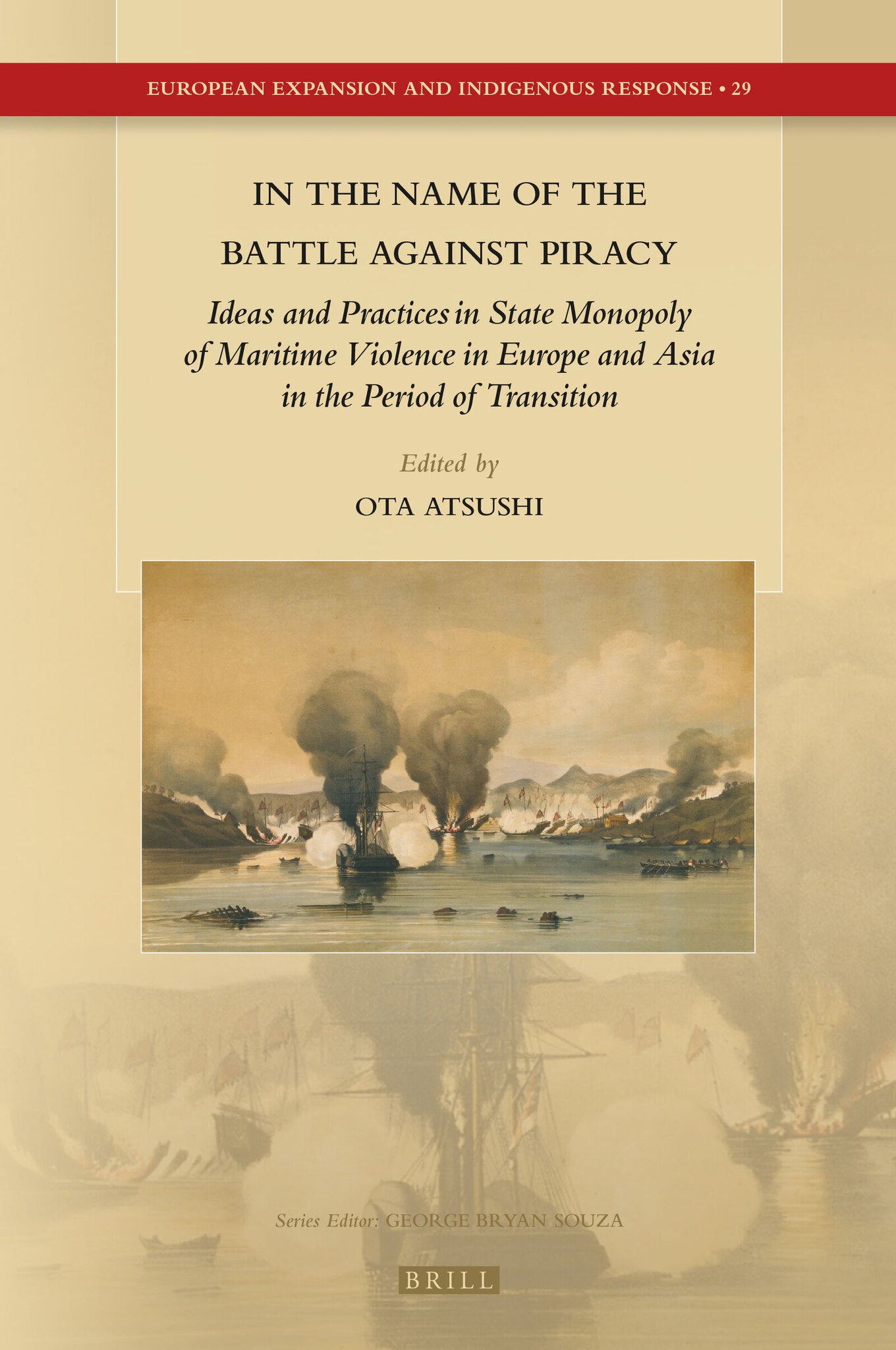 In the Name of the Battle against Piracy