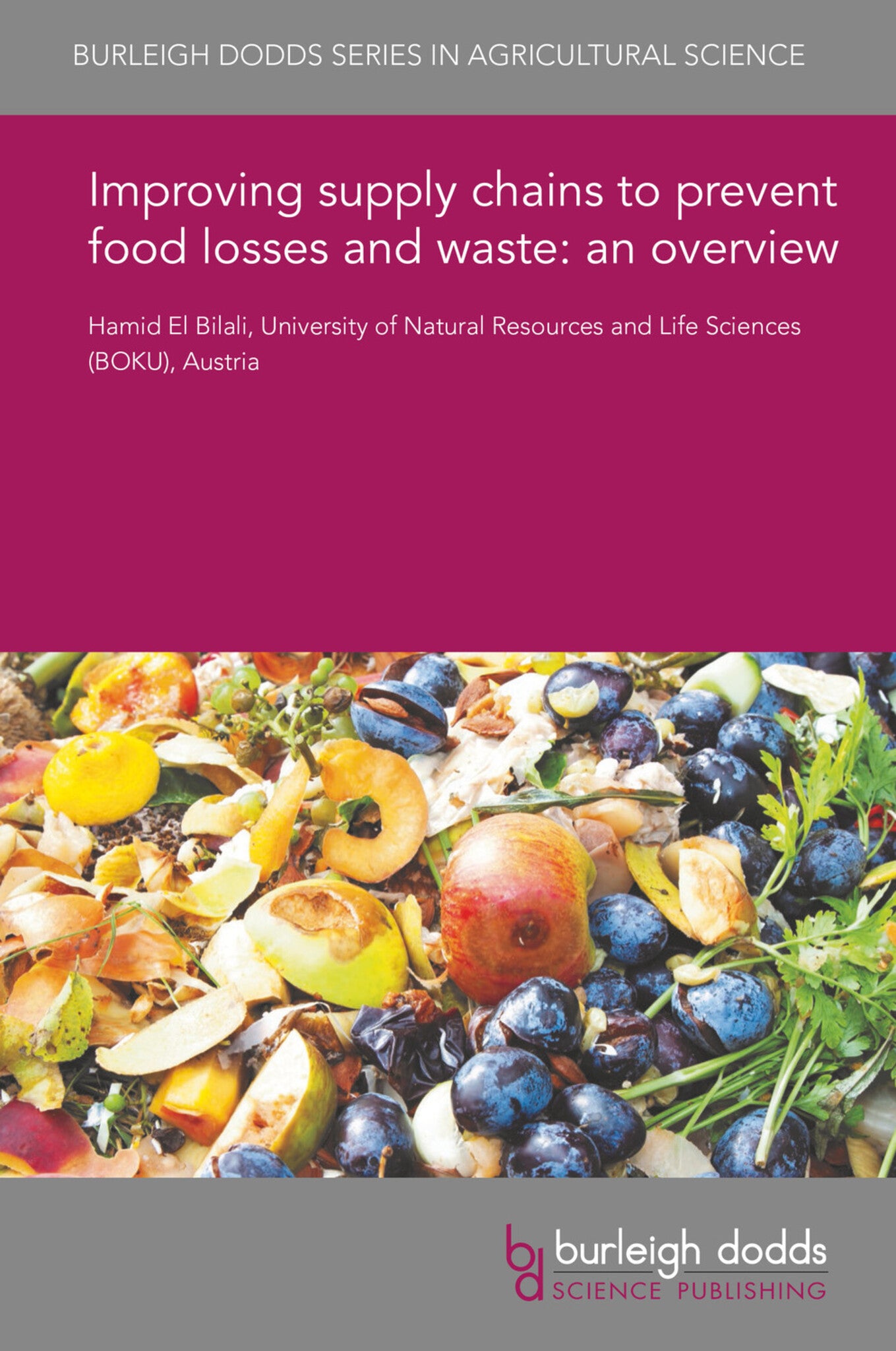 Cover image for Improving supply chains to prevent food losses and waste: an overview ISBN 9781838799625