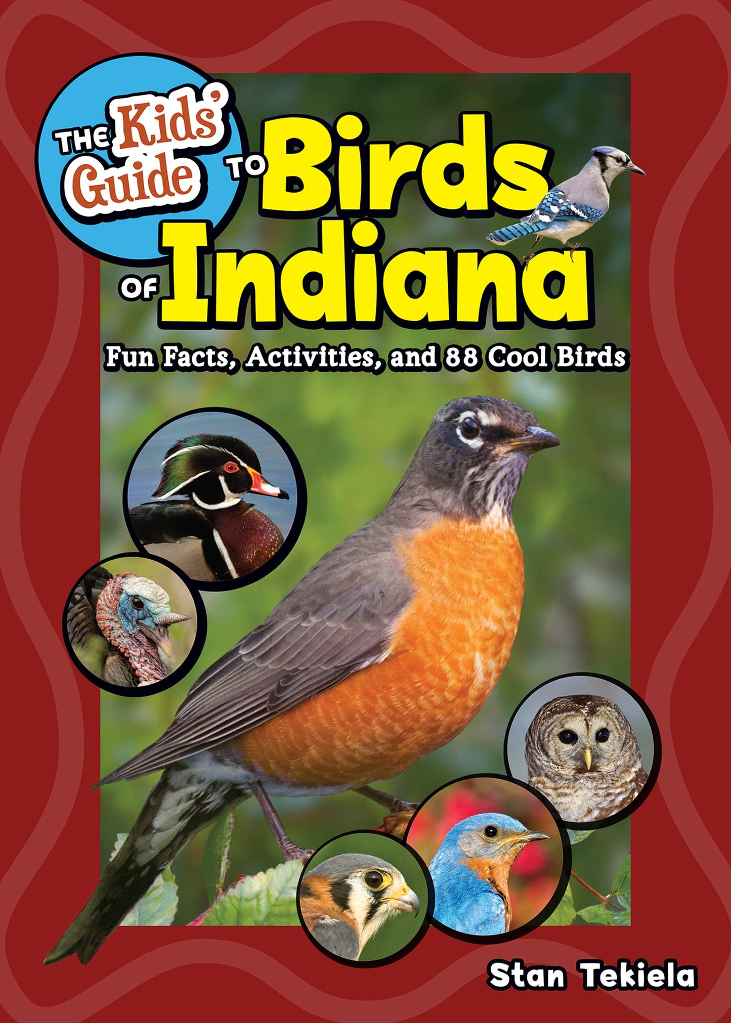Cover image for The Kids' Guide to Birds of Indiana ISBN 9781647554798