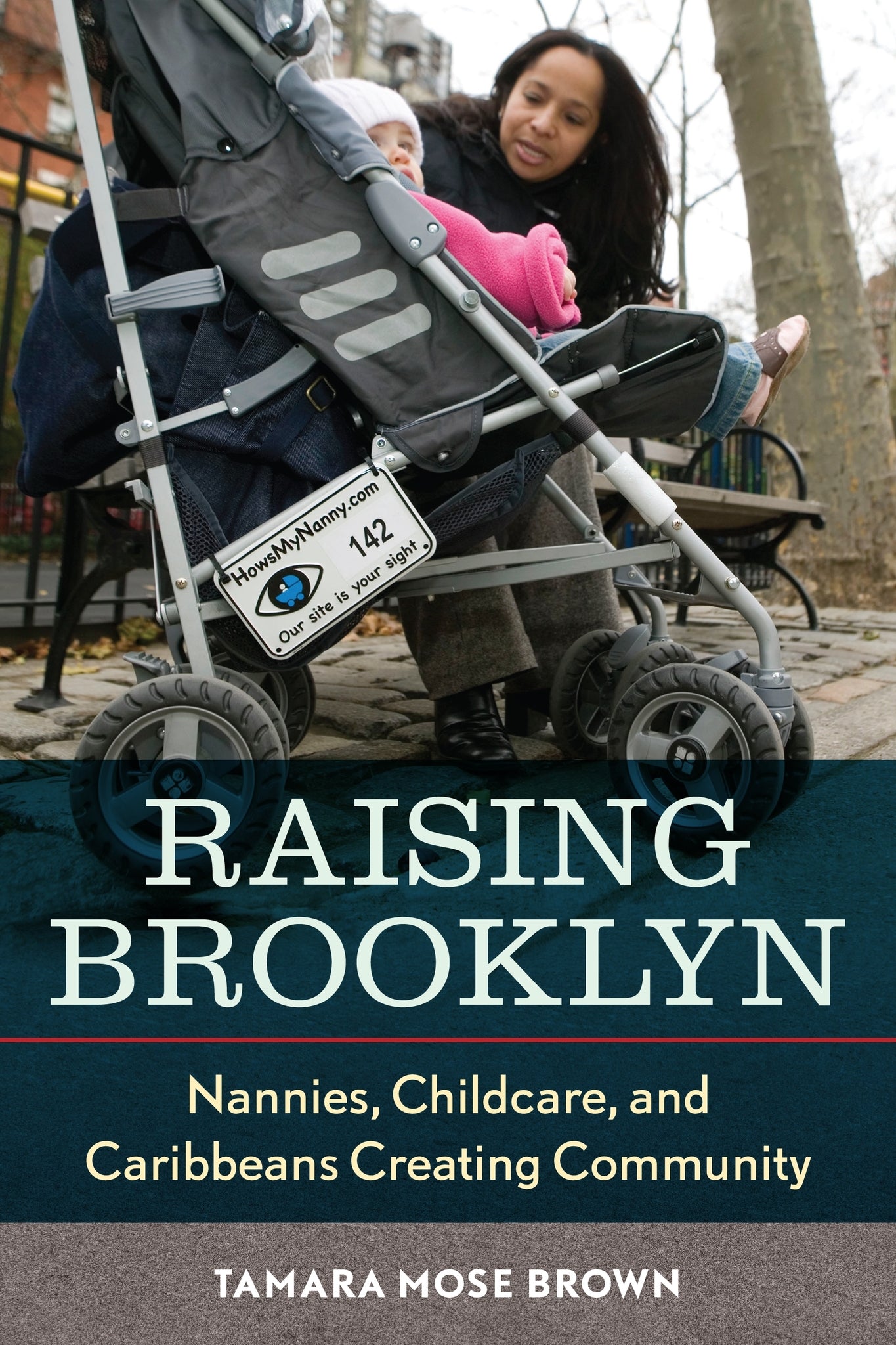 Cover image for Raising Brooklyn ISBN 9780814791431
