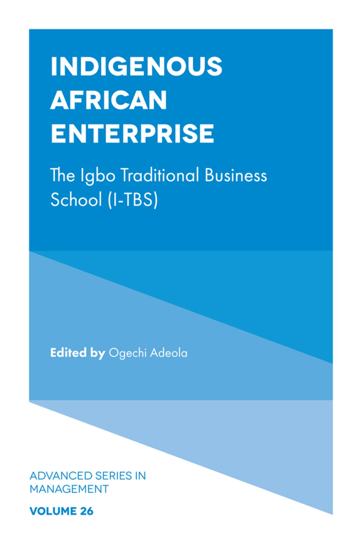Cover image for Indigenous African Enterprise ISBN 9781839090349