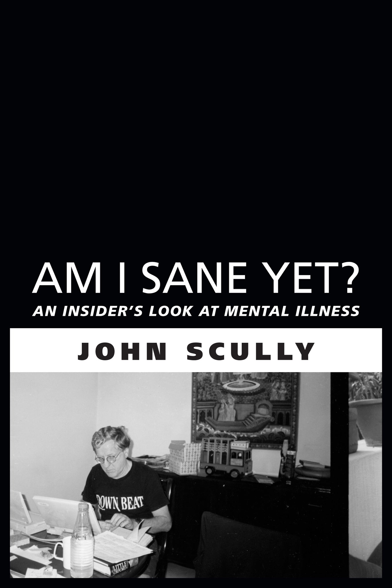 Cover image for Am I Sane Yet? ISBN 9781459707863