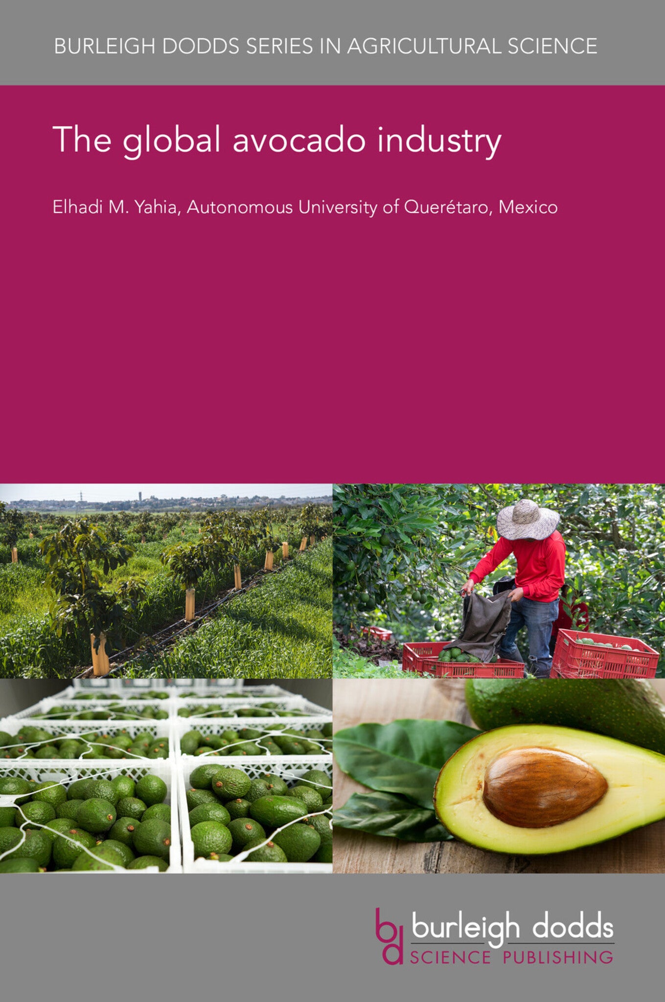 Cover image for The global avocado industry ISBN 9781801468251