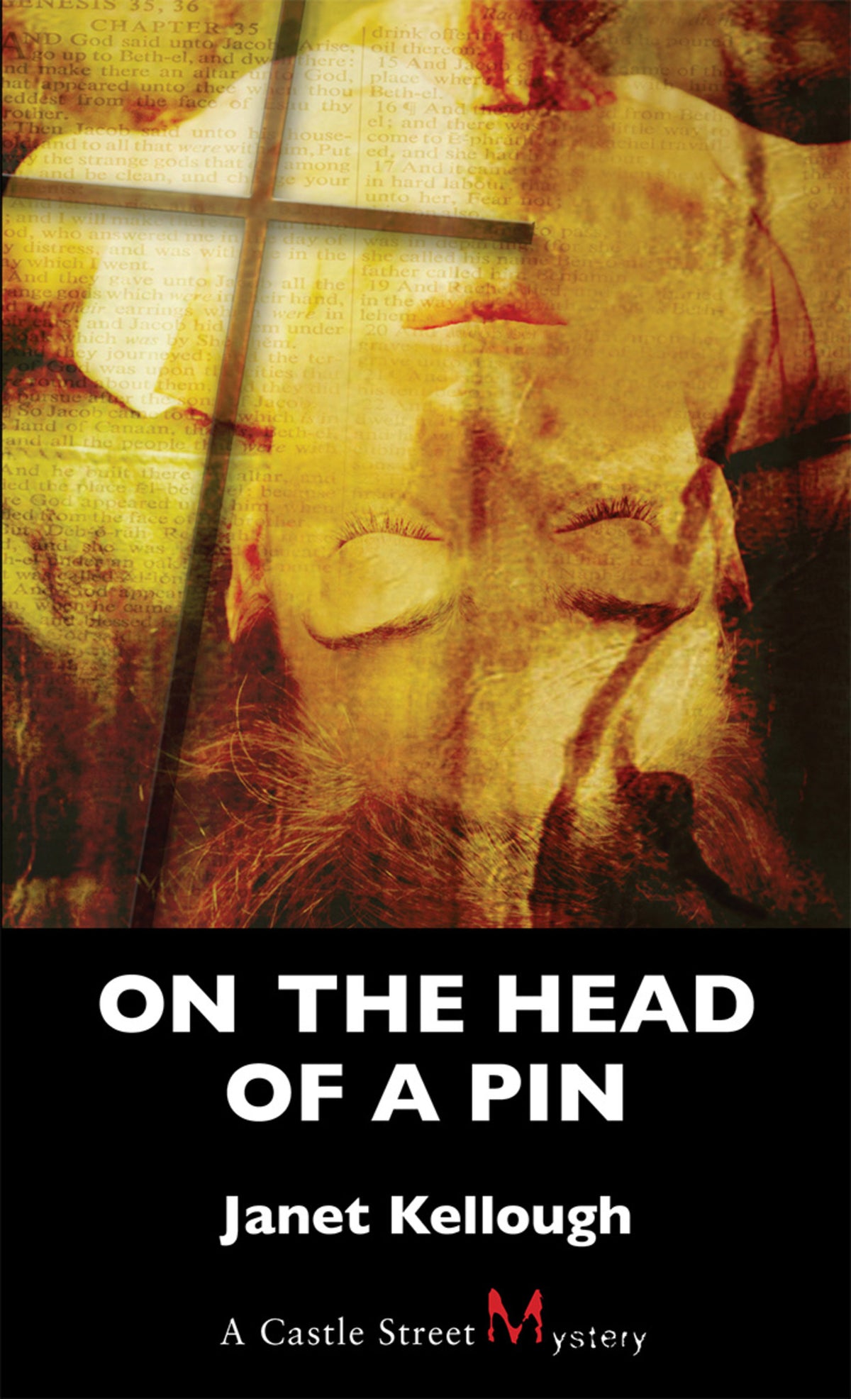 Cover image for On the Head of a Pin ISBN 9781459747883