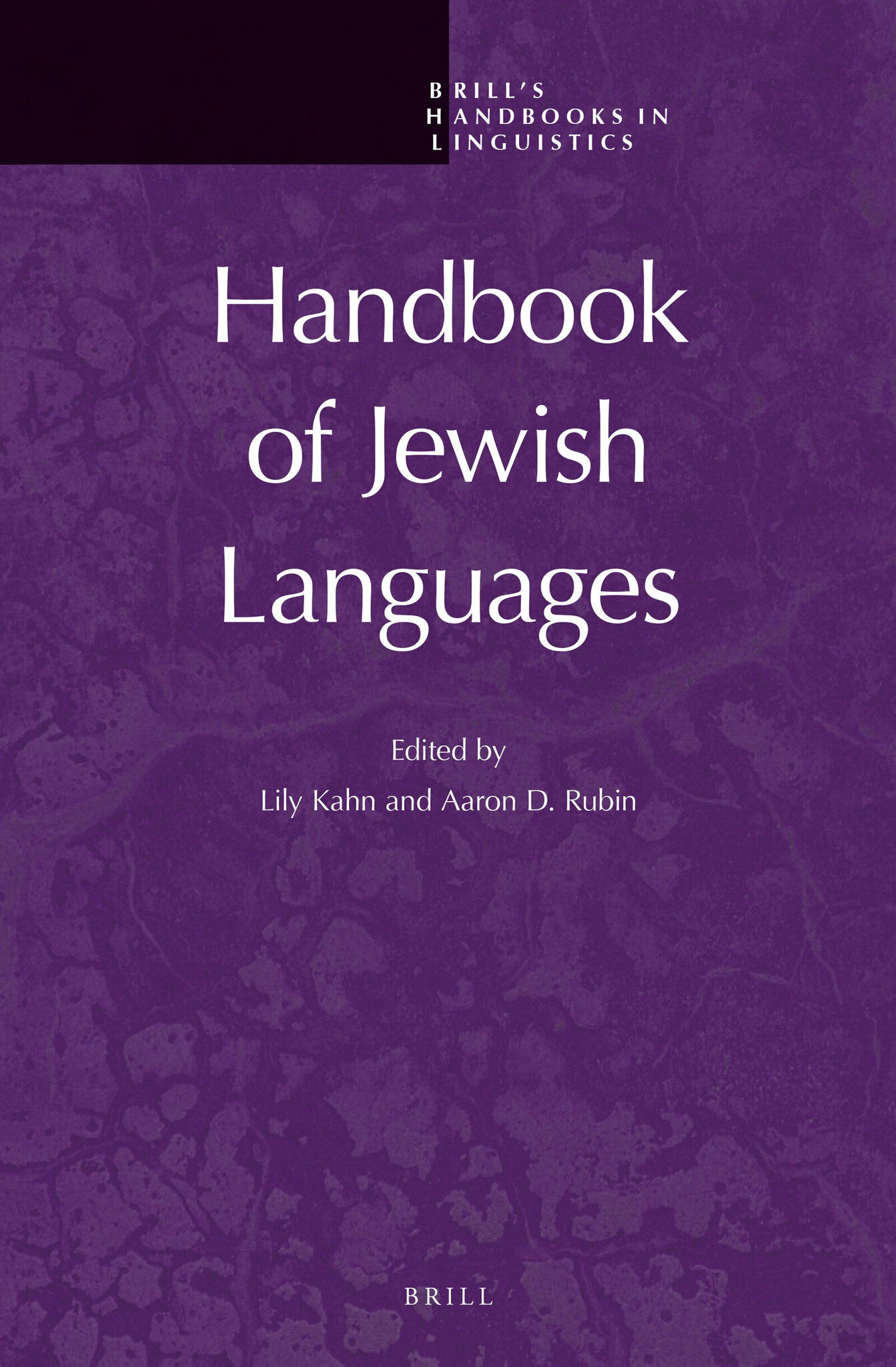 Cover image for Handbook of Jewish Languages ISBN 9789004217331