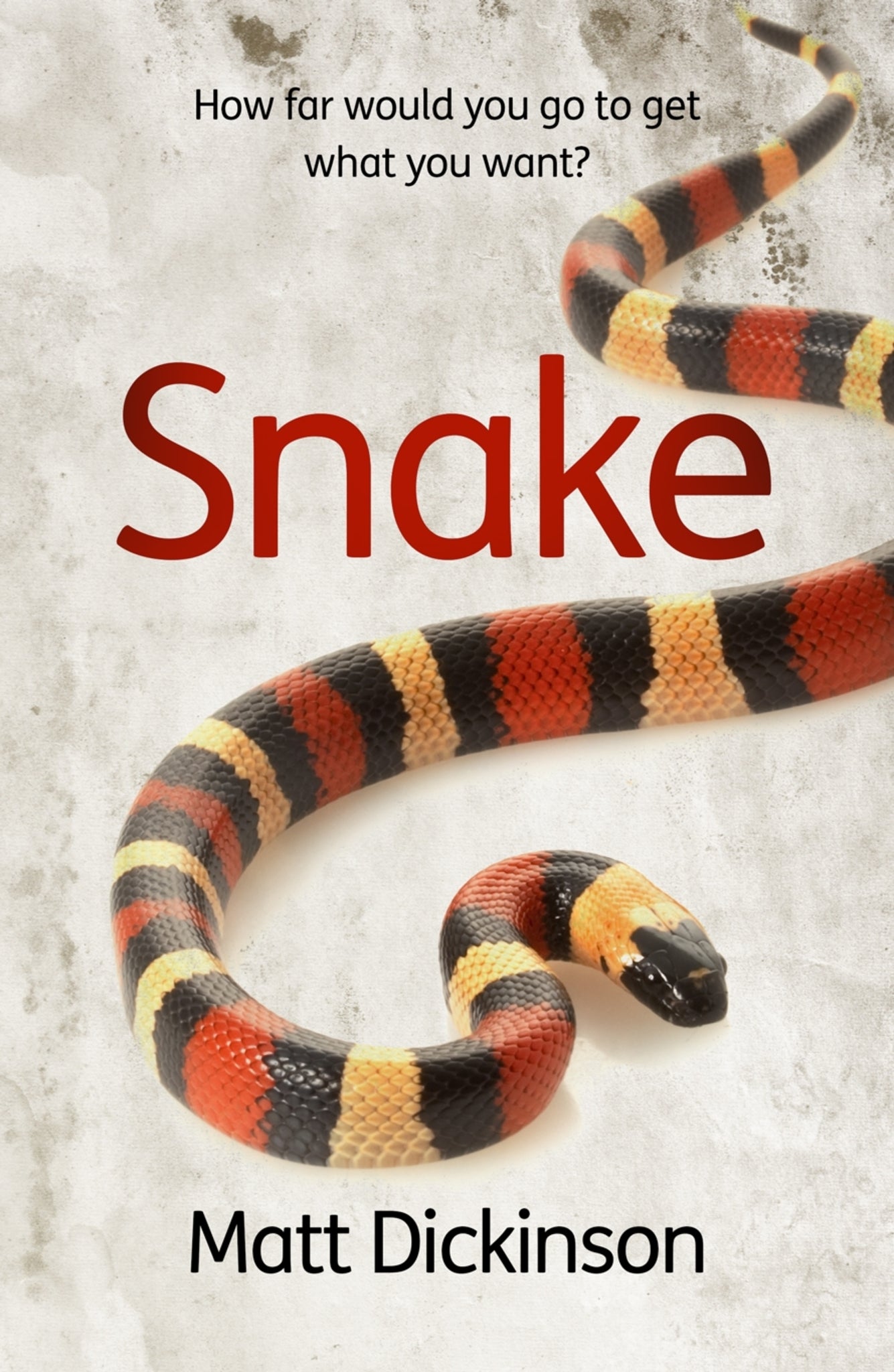 Cover image for Snake ISBN 9781908713124