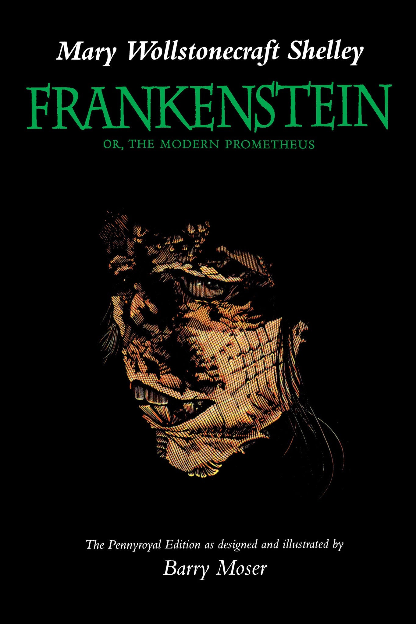 Cover image for Frankenstein ISBN 9780520916722