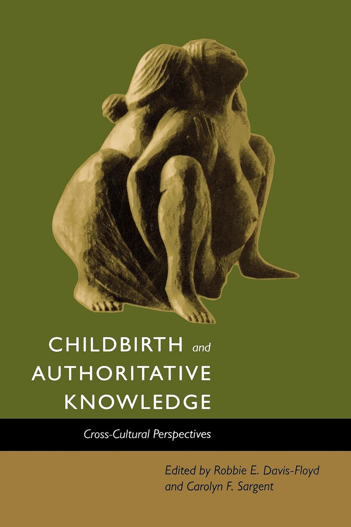 Cover image for Childbirth and Authoritative Knowledge ISBN 9780520918733