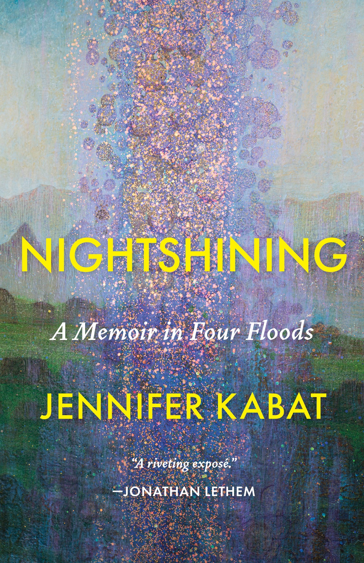 Cover image for Nightshining ISBN 9781639550708