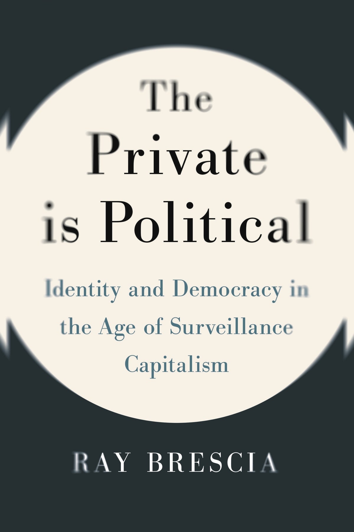 Cover image for The Private Is Political ISBN 9781479832347