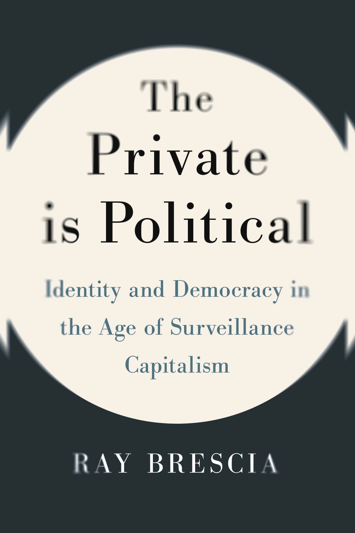Cover image for The Private Is Political ISBN 9781479832347