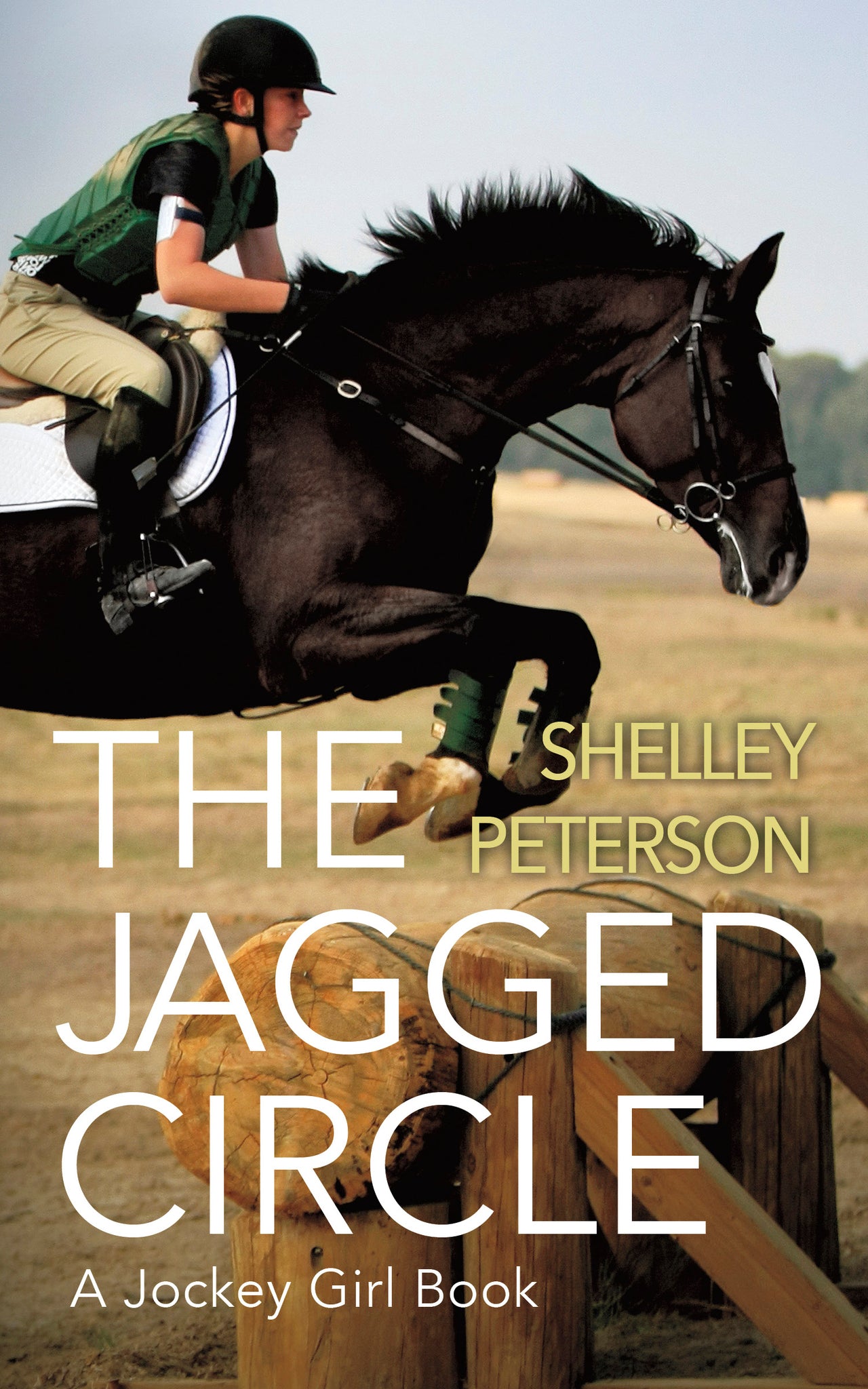Cover image for The Jagged Circle ISBN 9781459746947