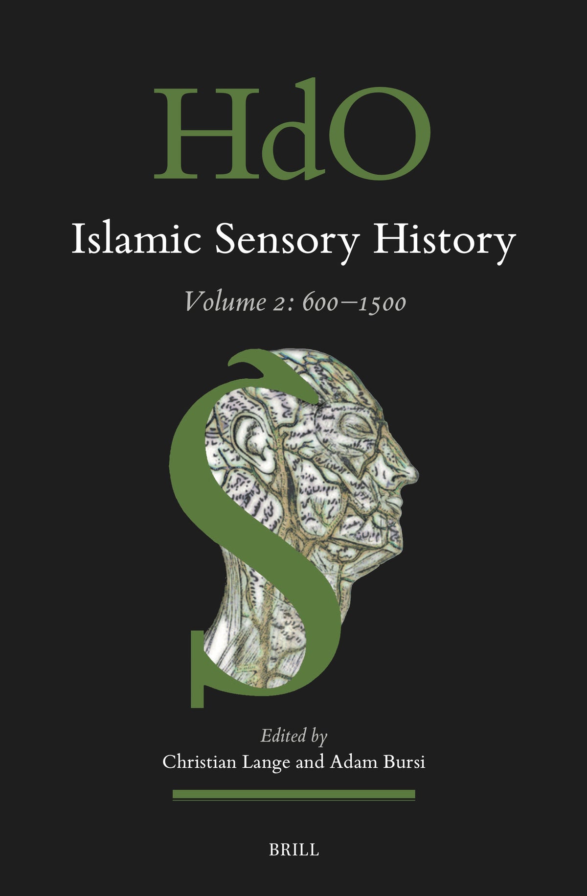 Cover image for Islamic Sensory History ISBN 9789004515925