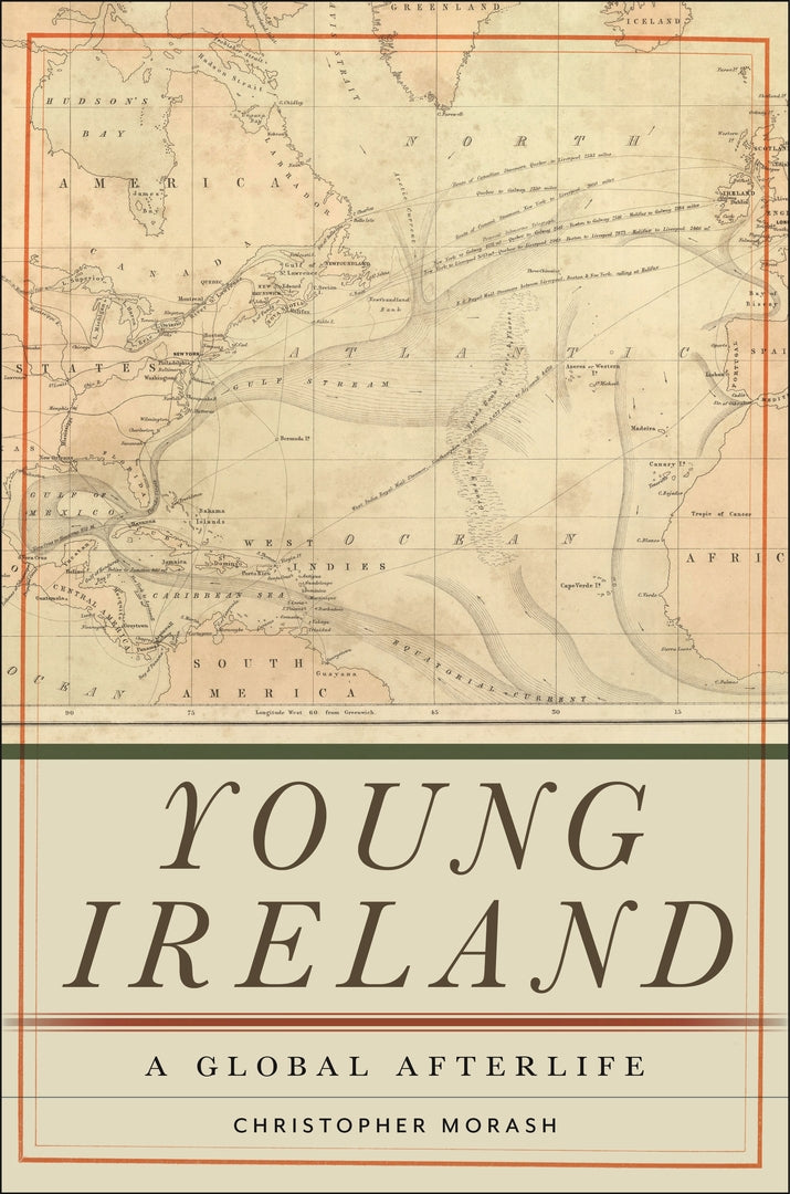 Cover image for Young Ireland ISBN 9781479822232