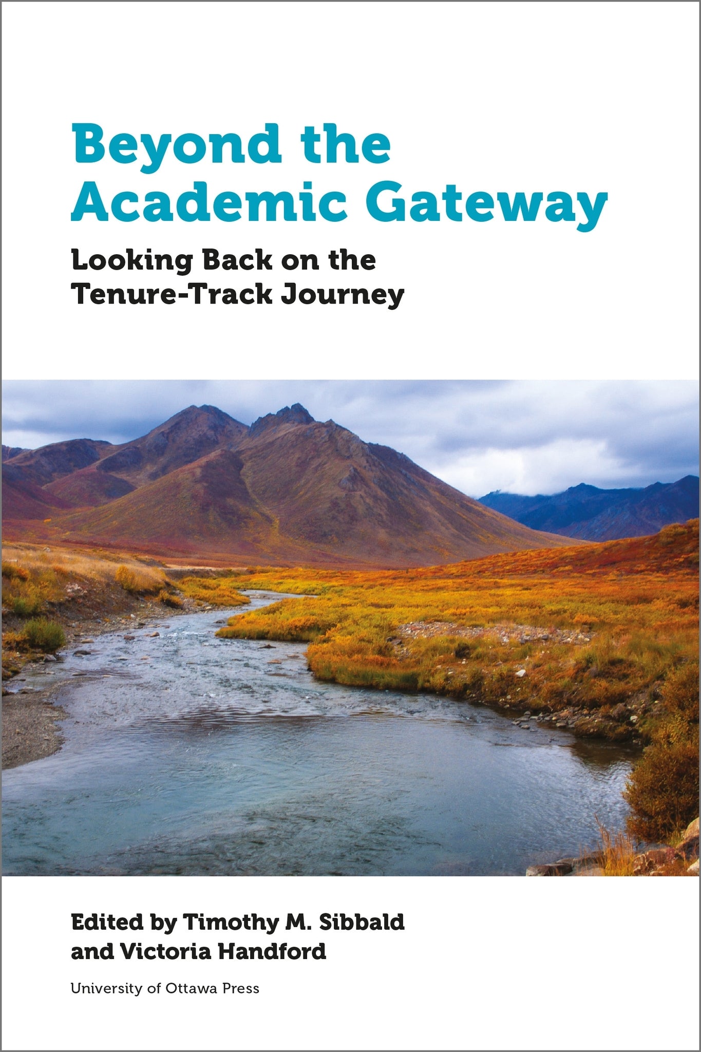 Cover image for Beyond the Academic Gateway ISBN 9780776628905