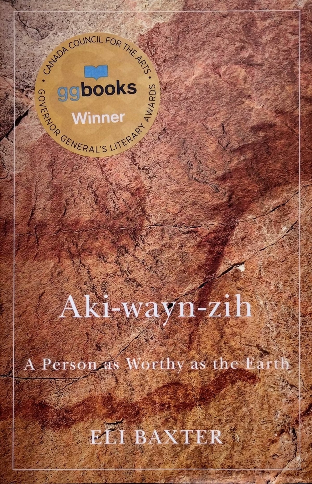 Cover image for Aki-wayn-zih ISBN 9780228008071
