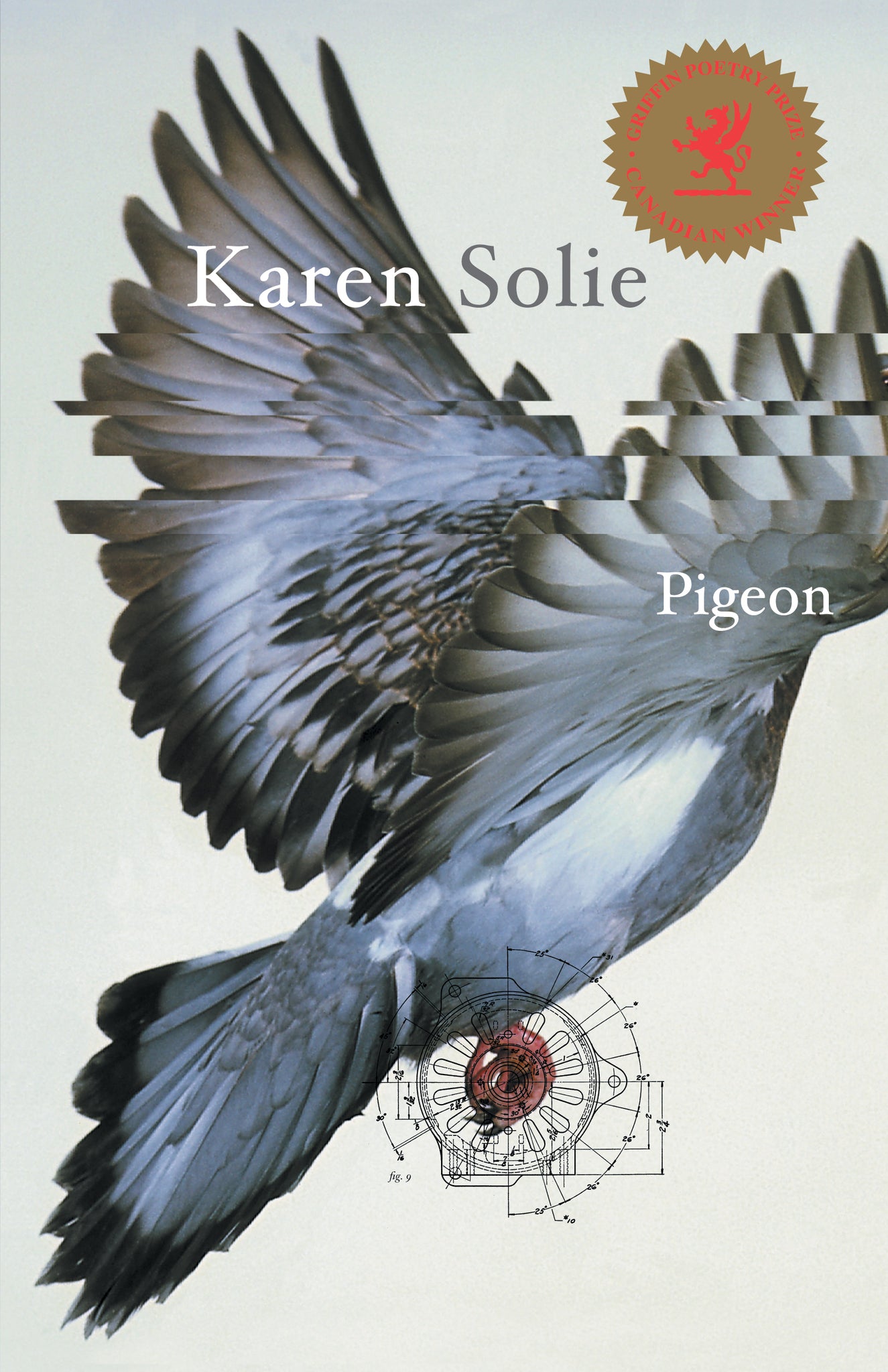 Cover image for Pigeon ISBN 9780887848230