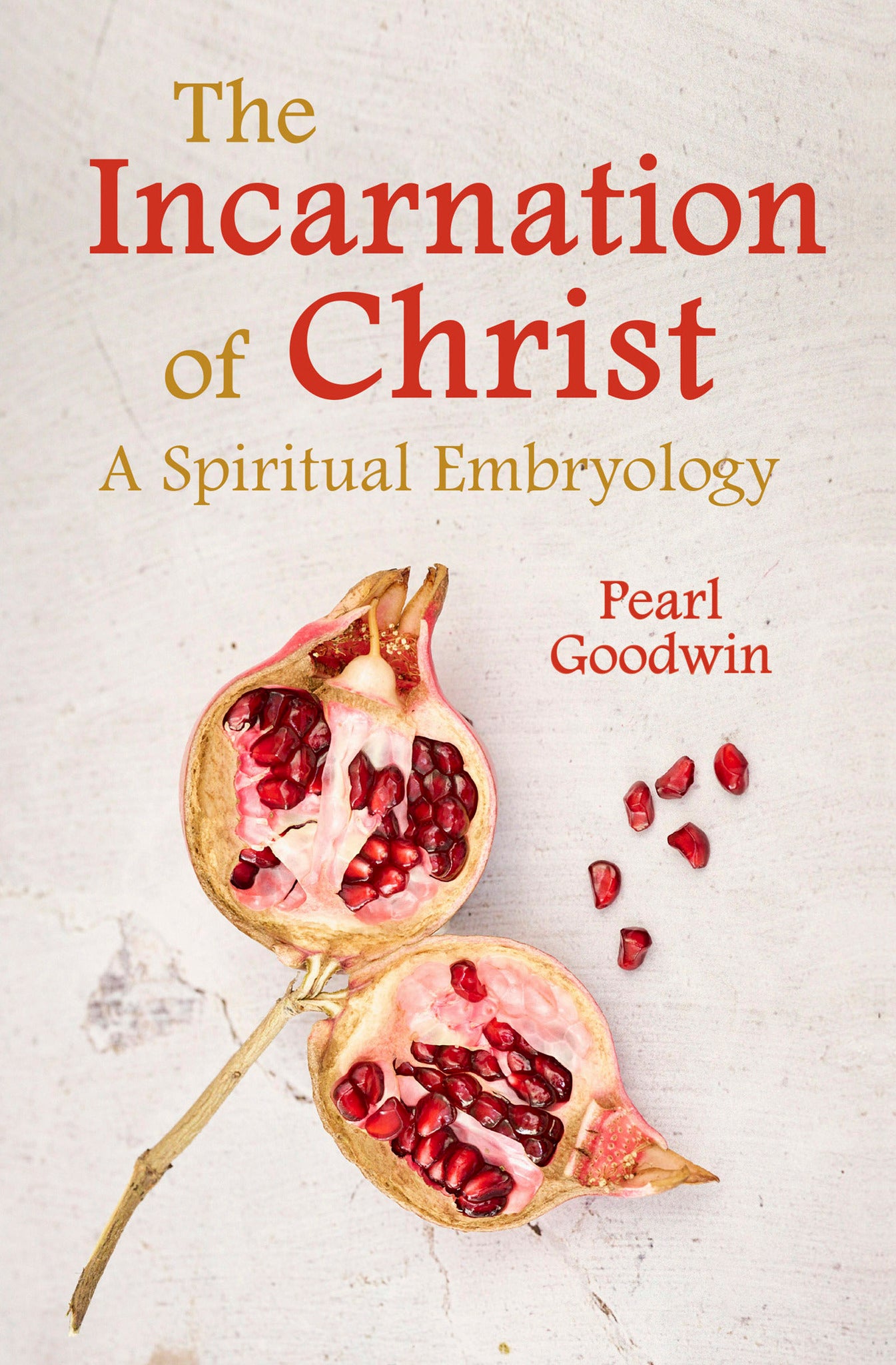 Cover image for The Incarnation of Christ ISBN 9781782509929