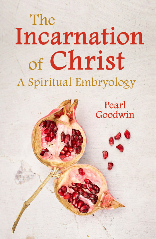 The Incarnation of Christ