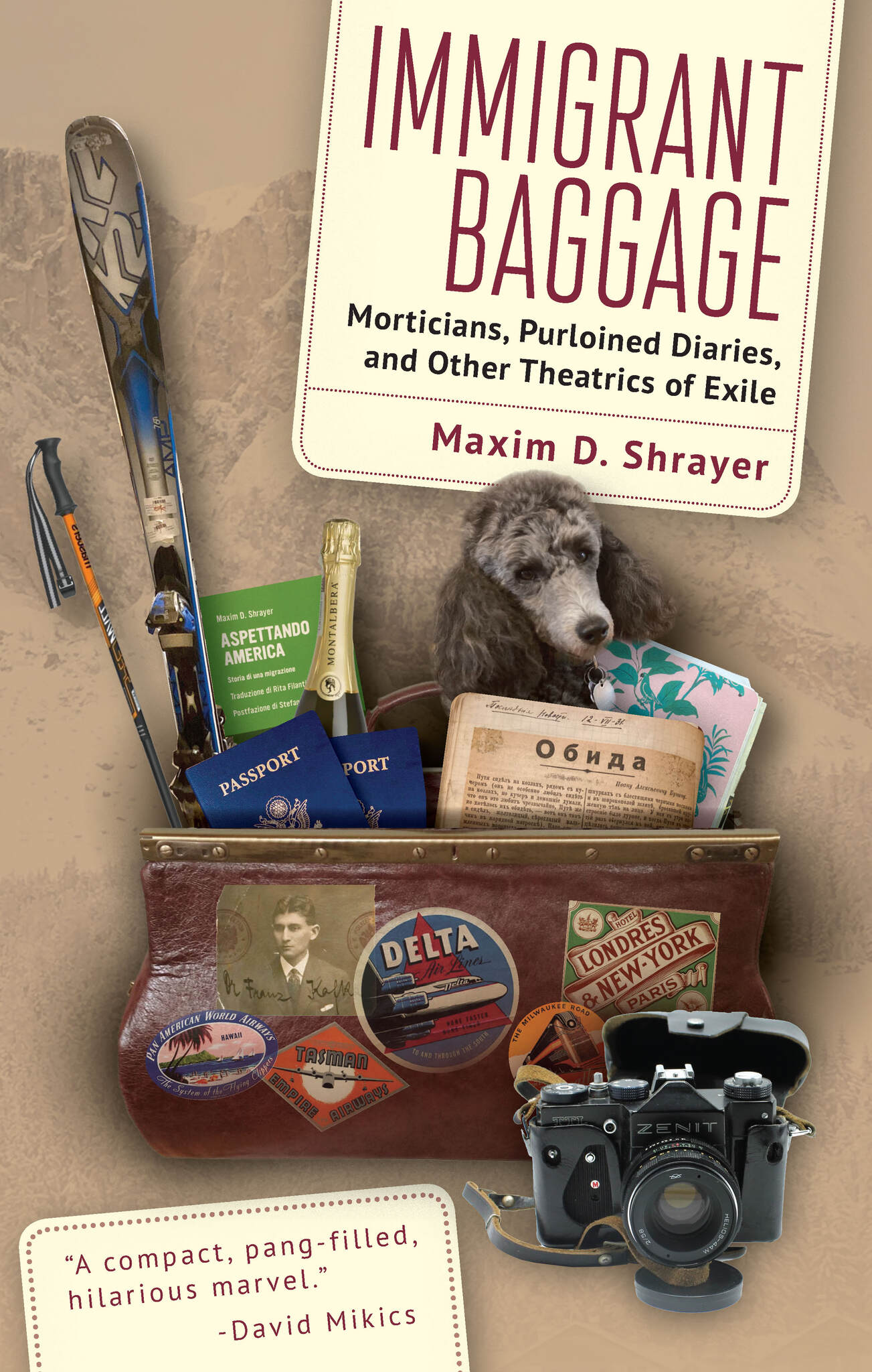 Cover image for Immigrant Baggage ISBN 9781644699980