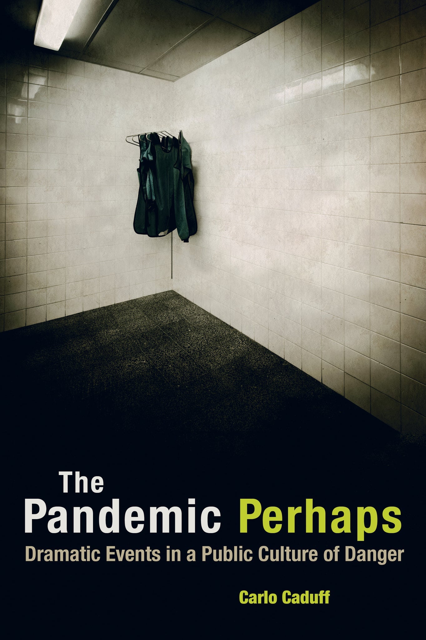 Cover image for The Pandemic Perhaps ISBN 9780520959767