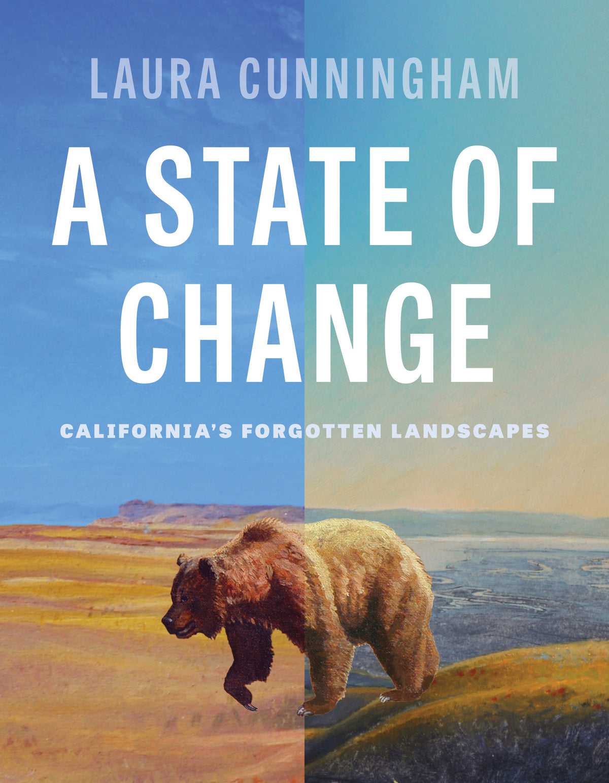Cover image for A State of Change ISBN 9781597147323