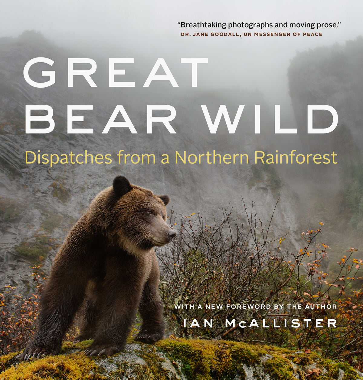 Cover image for Great Bear Wild ISBN 9781771640466
