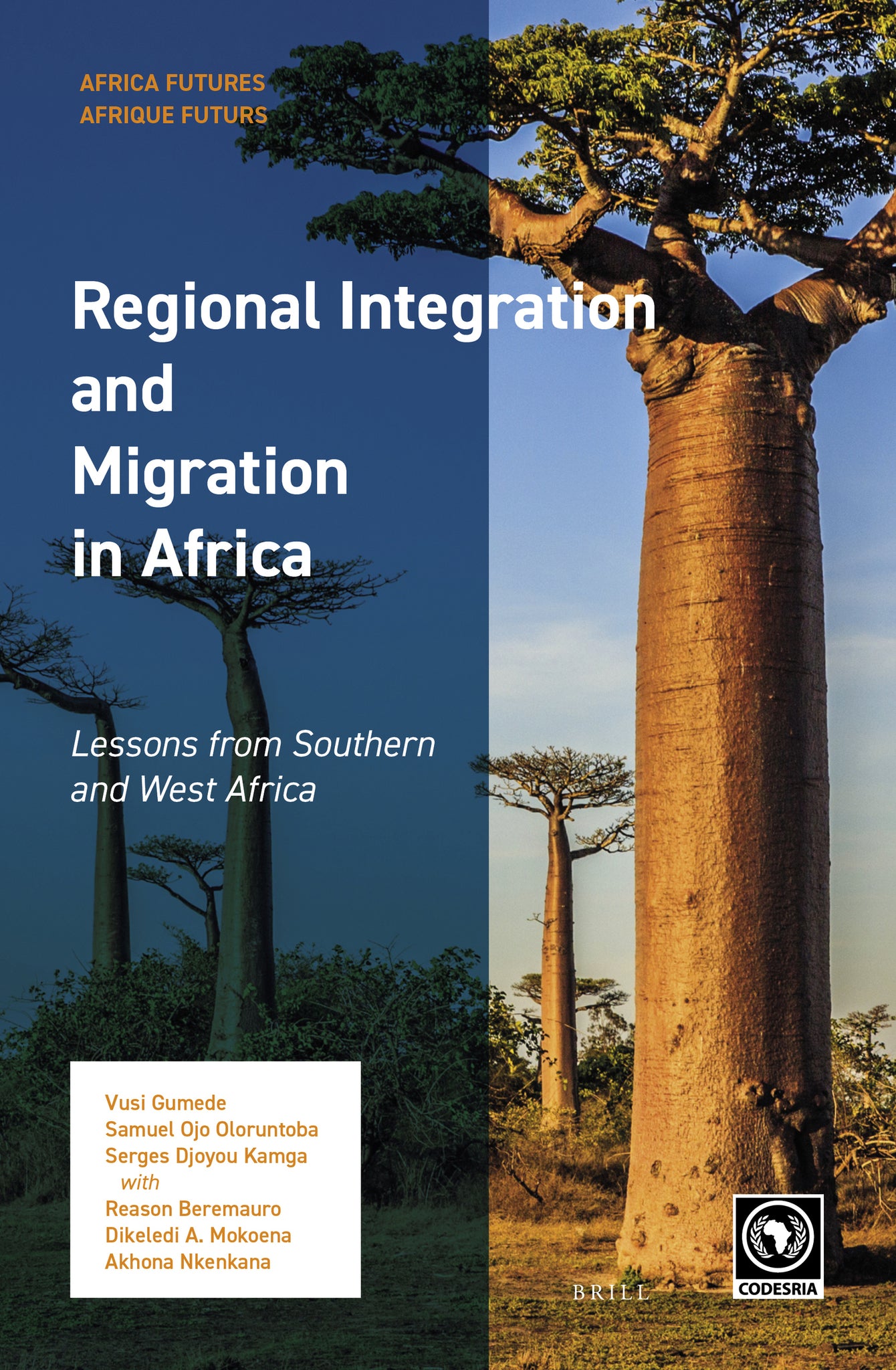 Cover image for Regional Integration and Migration in Africa ISBN 9789004399921
