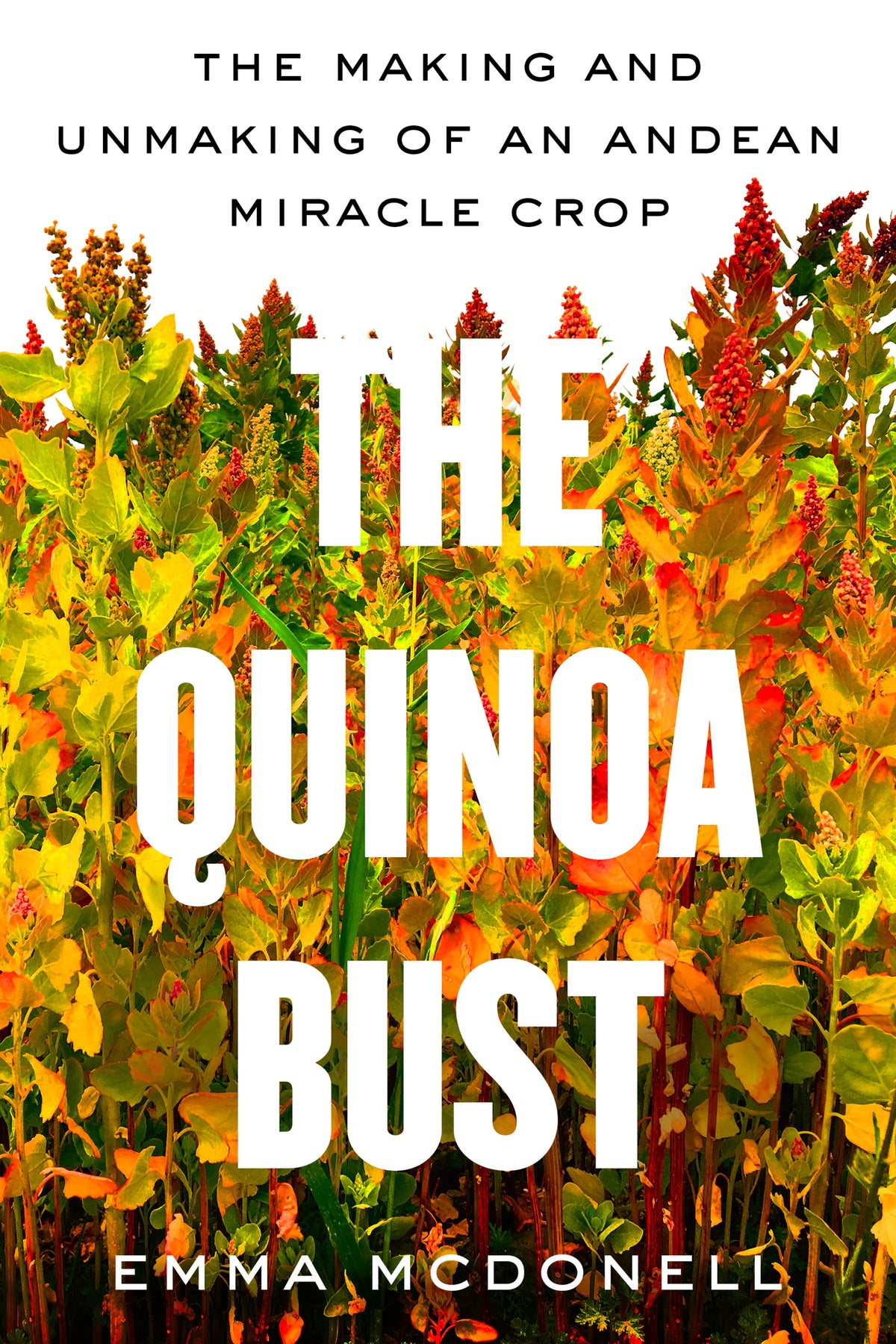 Cover image for The Quinoa Bust ISBN 9780520401723