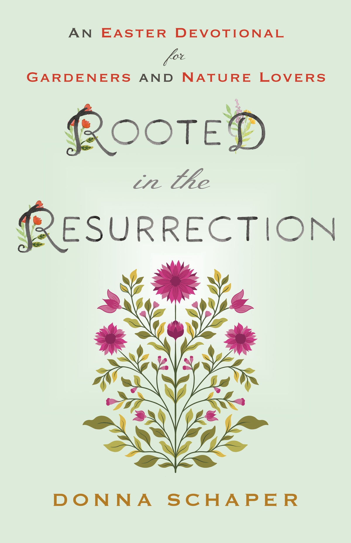 Cover image for Rooted in the Resurrection ISBN 9781640659933