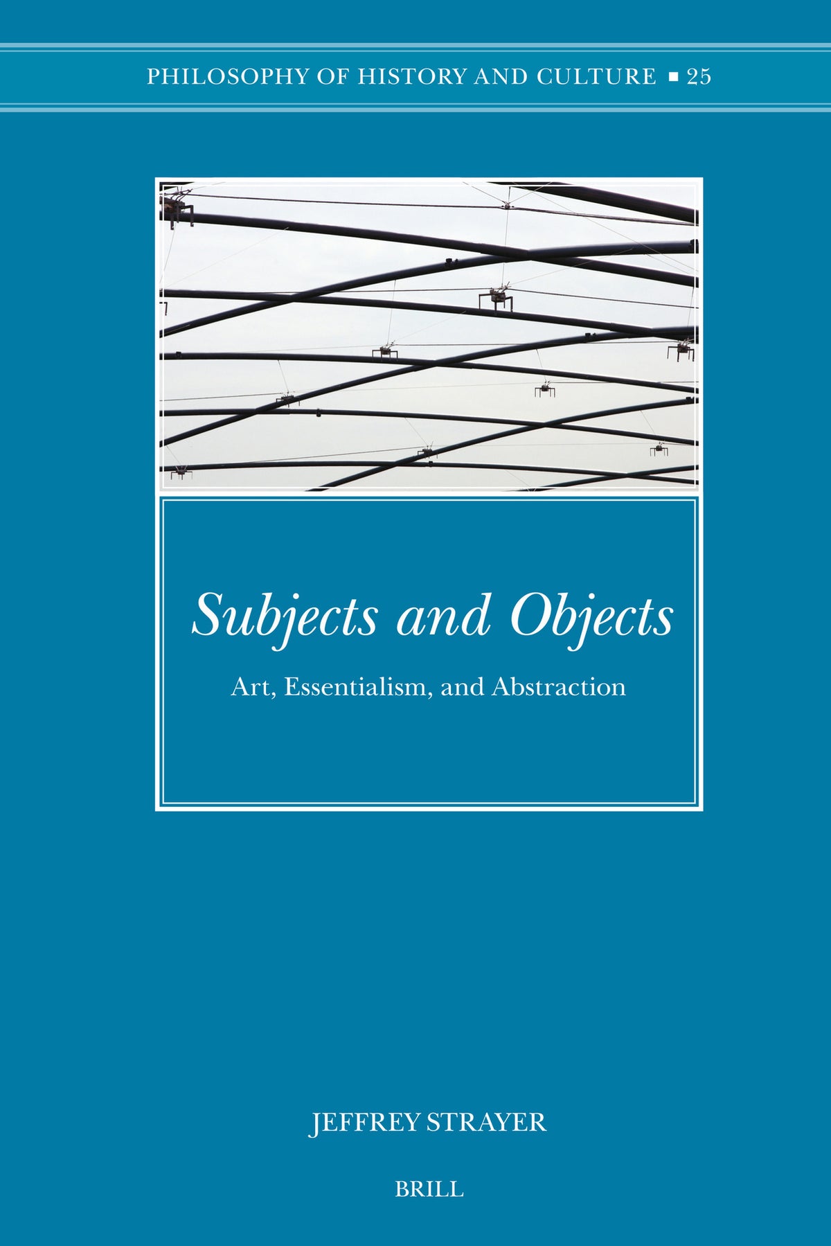 Cover image for Subjects and Objects ISBN 9789004157149
