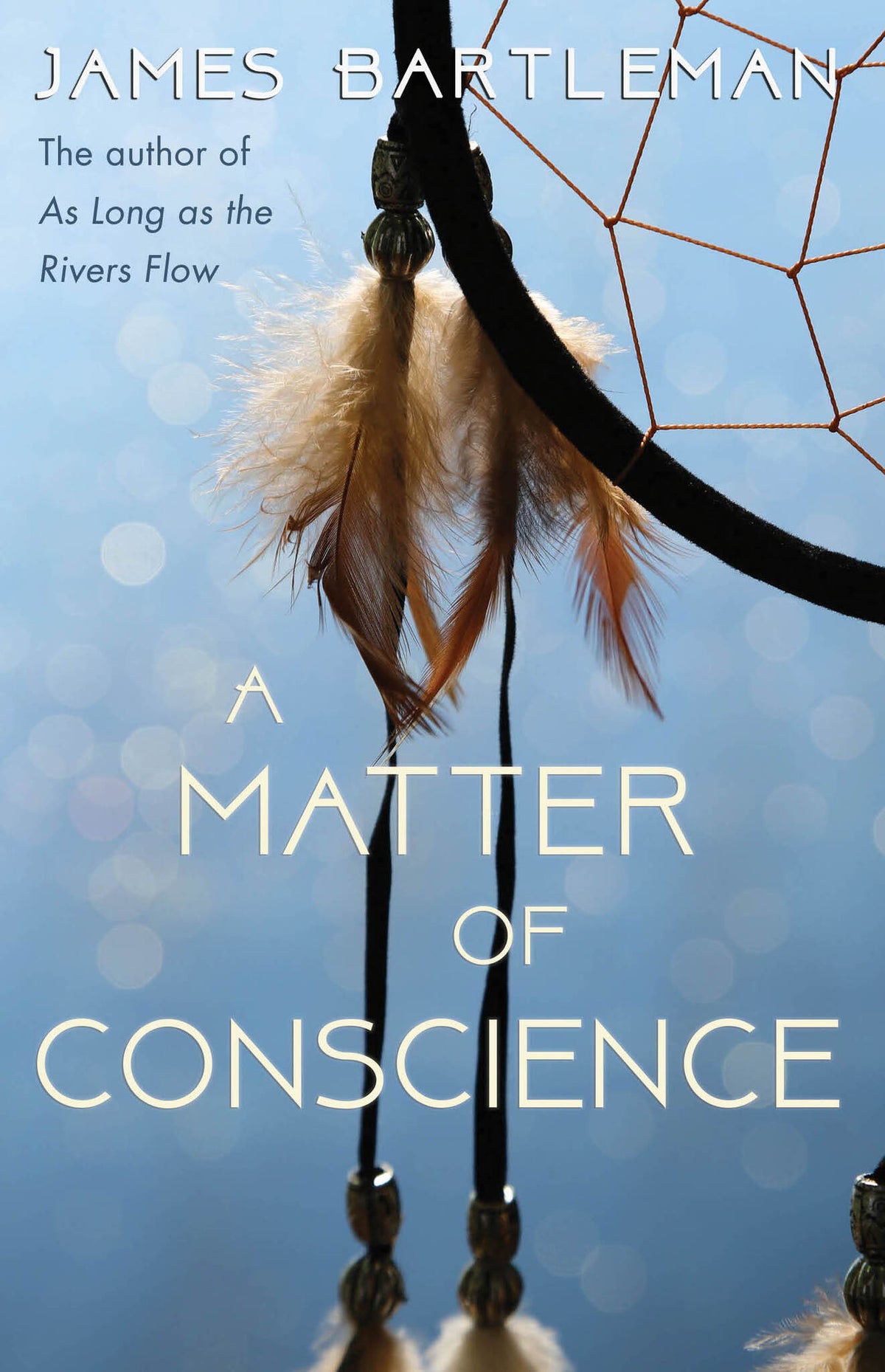 Cover image for A Matter of Conscience ISBN 9781459741126