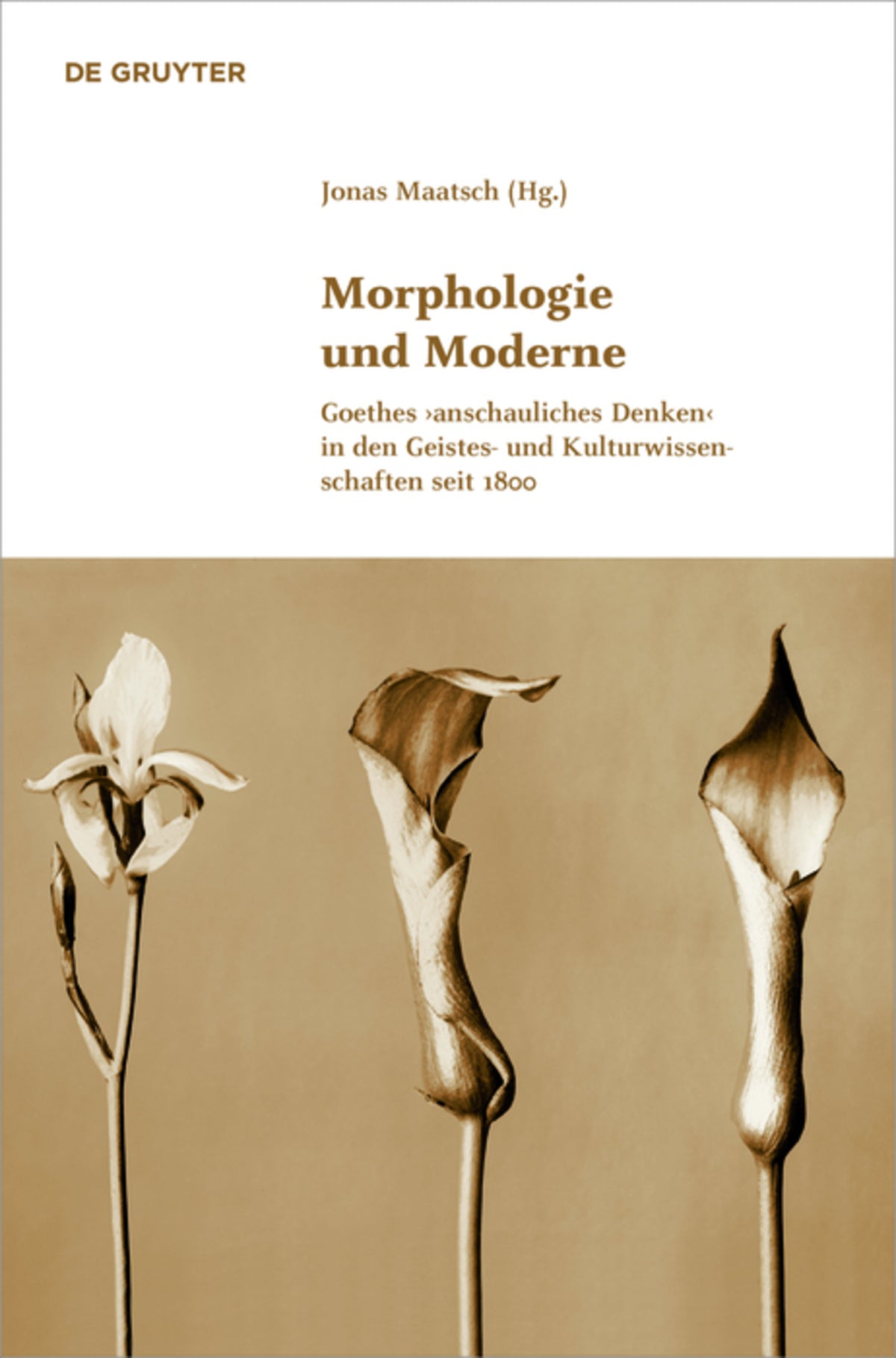 Cover image for Morphologie und Moderne ISBN 9783110372120