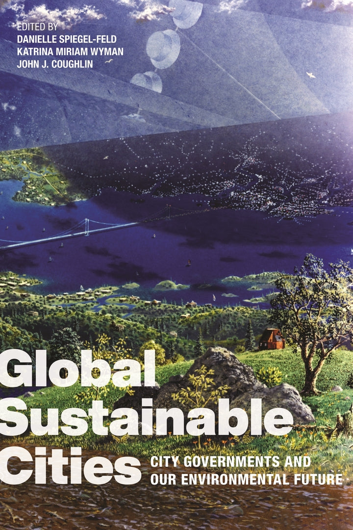 Cover image for Global Sustainable Cities ISBN 9781479805747