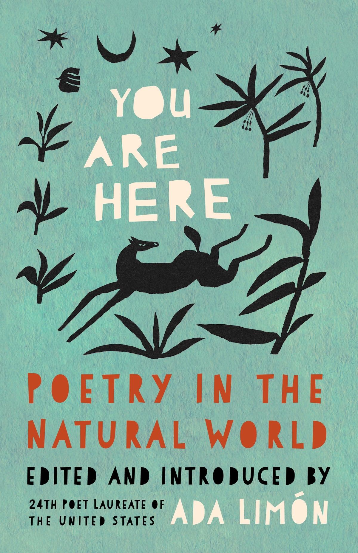 Cover image for You Are Here ISBN 9781571315694