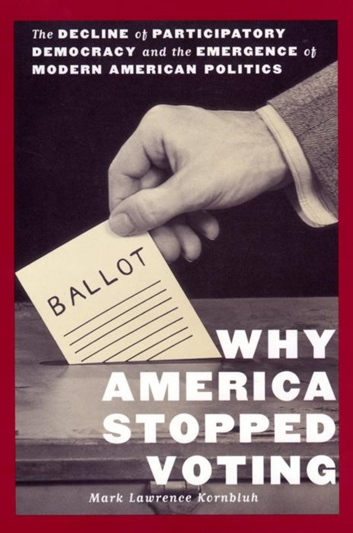 Cover image for Why America Stopped Voting ISBN 9780814747087