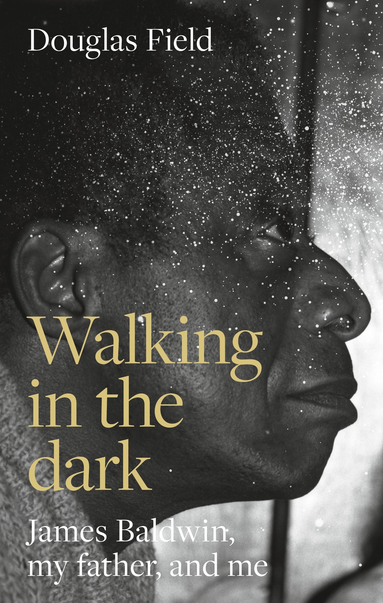 Cover image for Walking in the dark ISBN 9781526175175