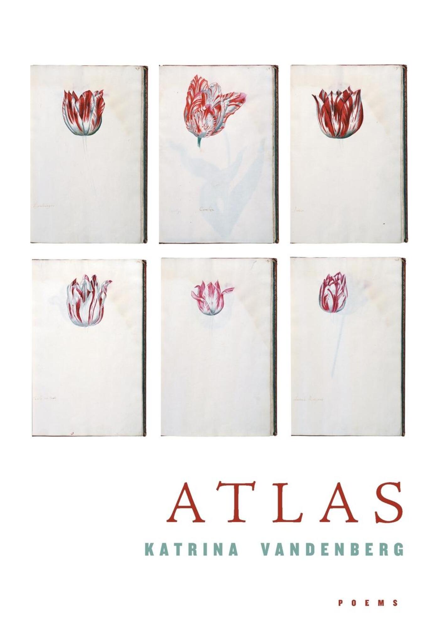 Cover image for Atlas ISBN 9781571314192
