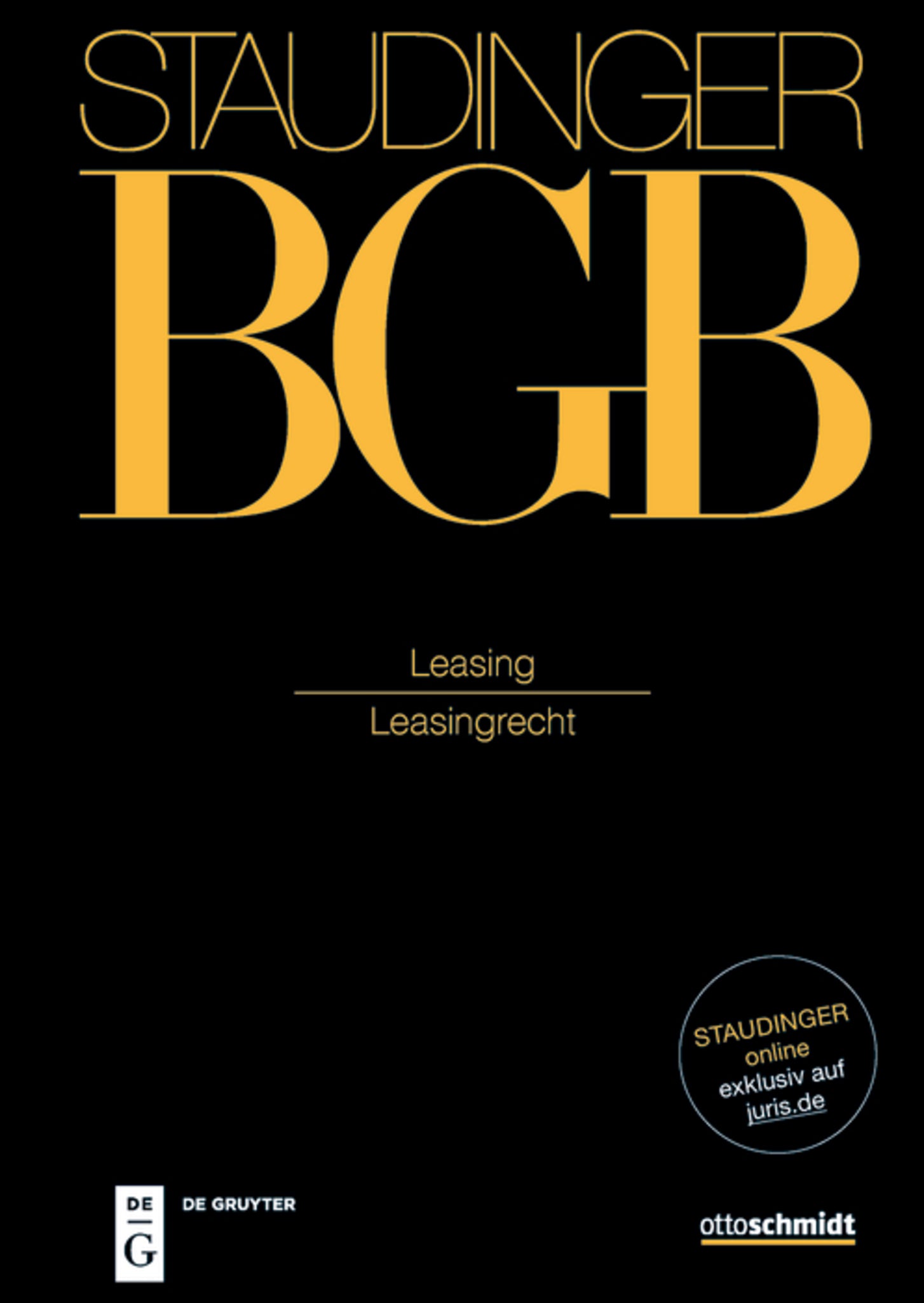 Cover image for Leasing ISBN 9783805913614
