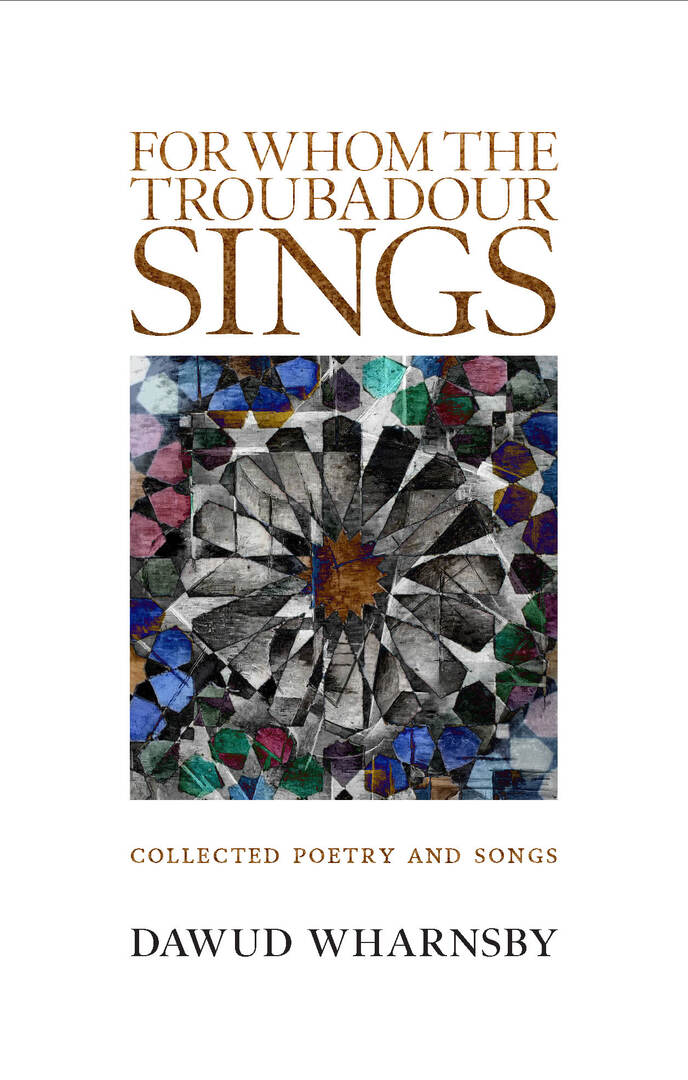Cover image for For Whom the Troubadour Sings ISBN 9781847740861