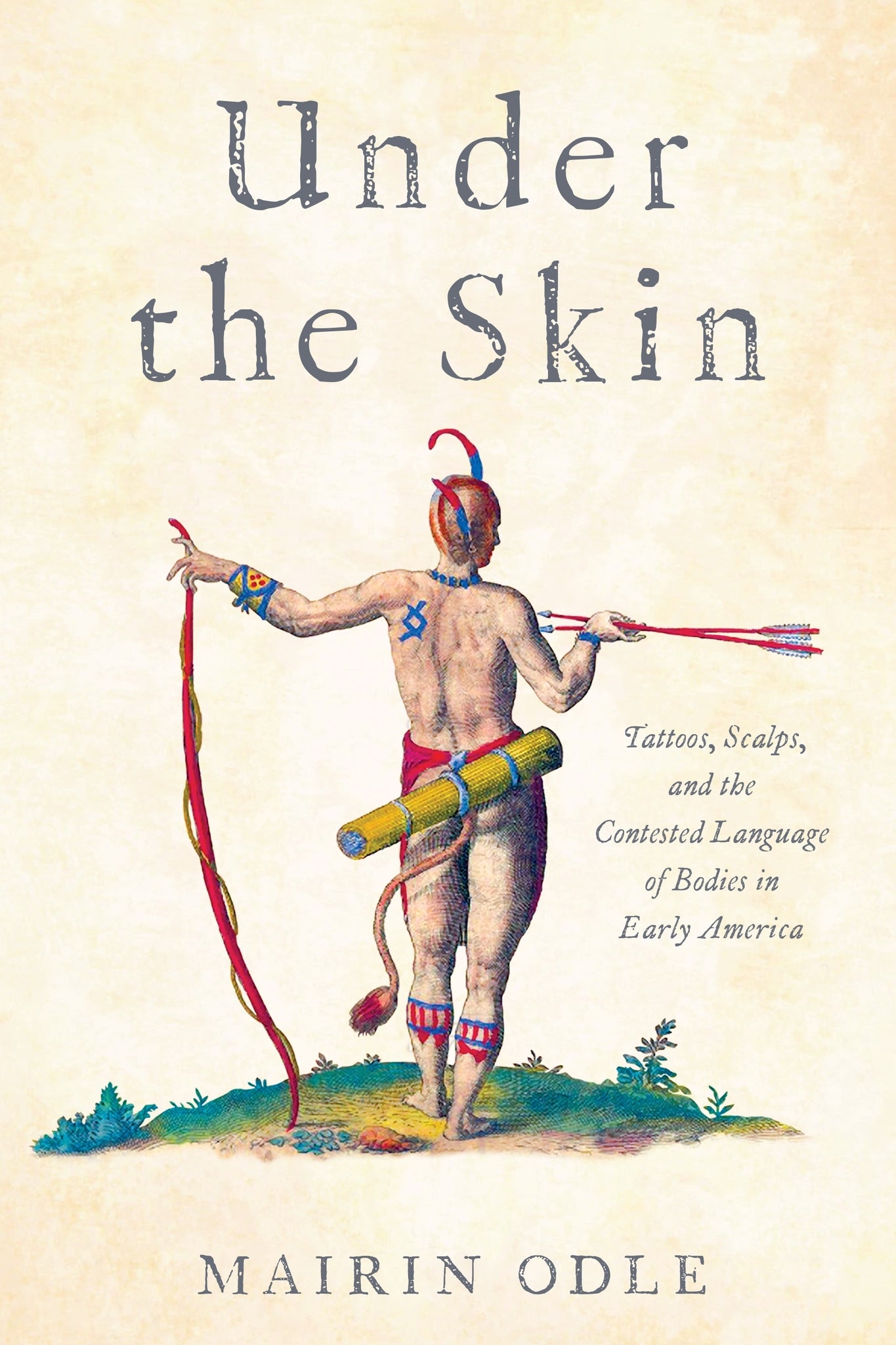 Cover image for Under the Skin ISBN 9781512823165